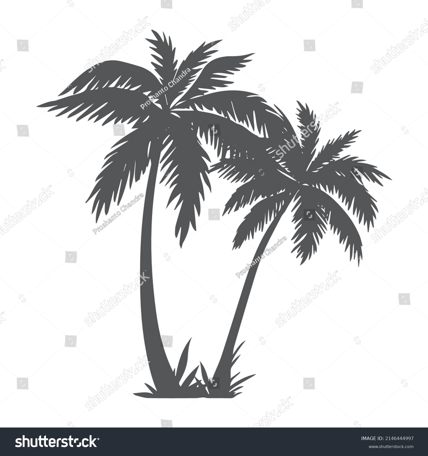 Black White Palm Tree Line Art Stock Vector (Royalty Free) 2146444997 ...