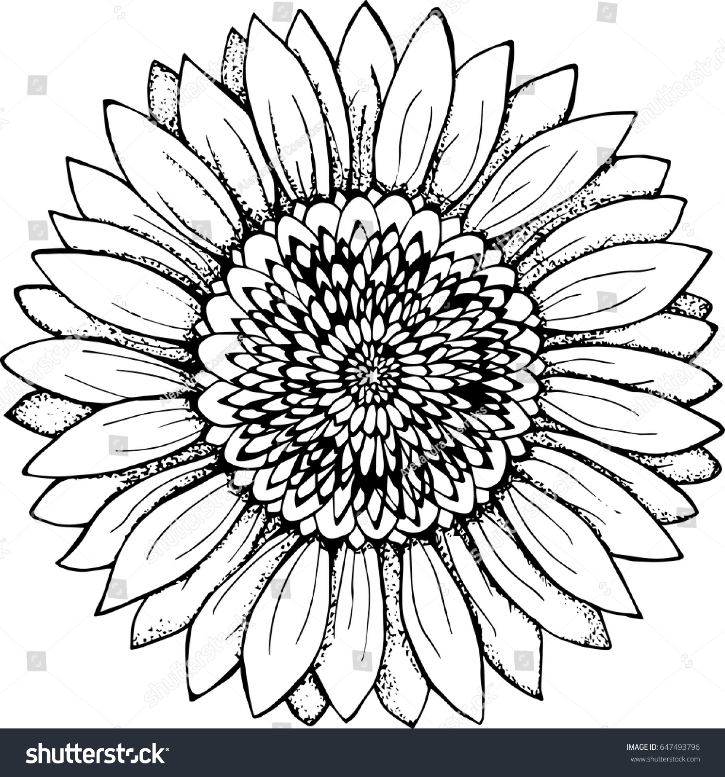 Free Free 151 Sunflower Svg Free Black And White SVG PNG EPS DXF File