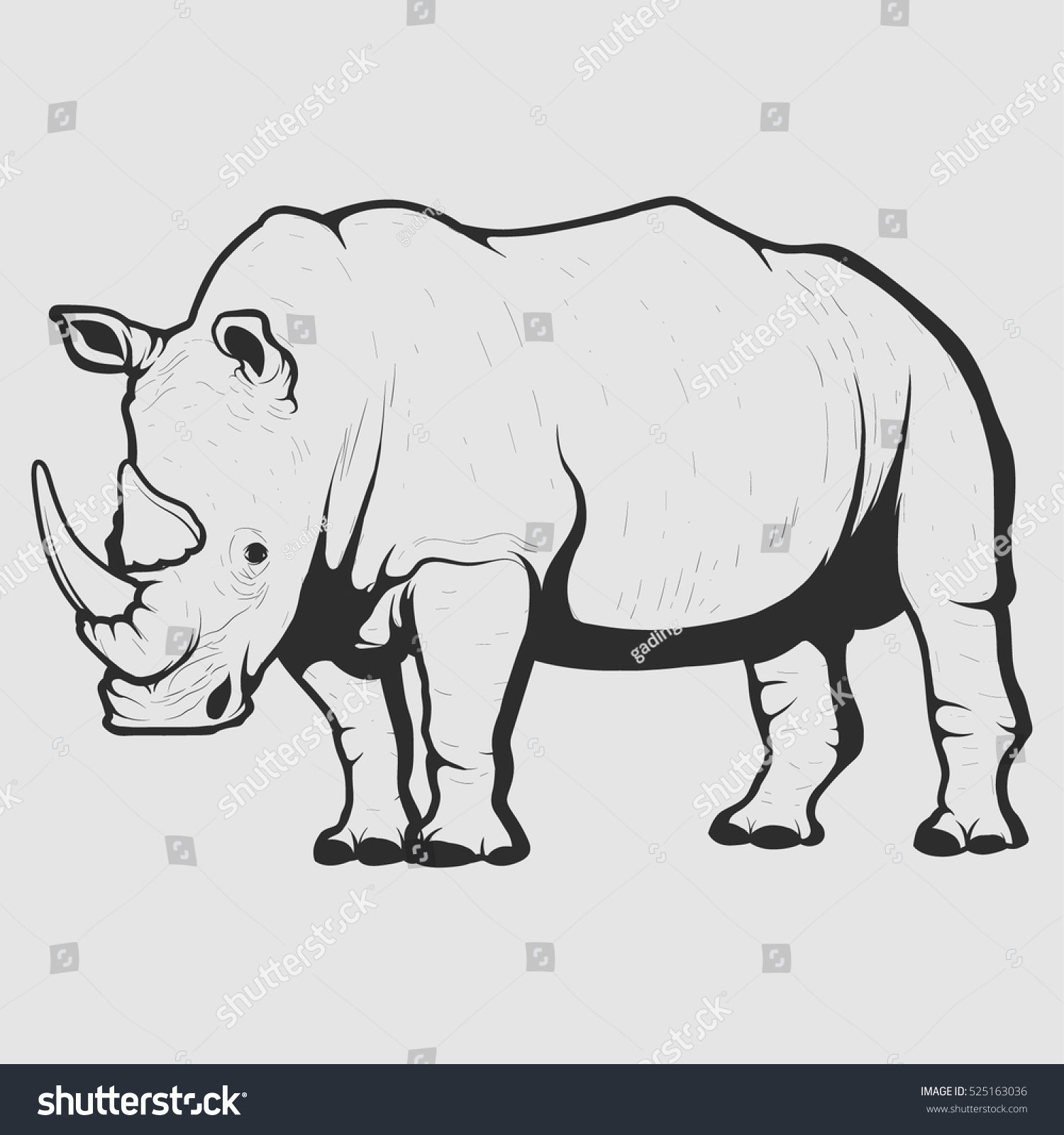 African white rhino photo window wall sticker wall mural 45200067ww