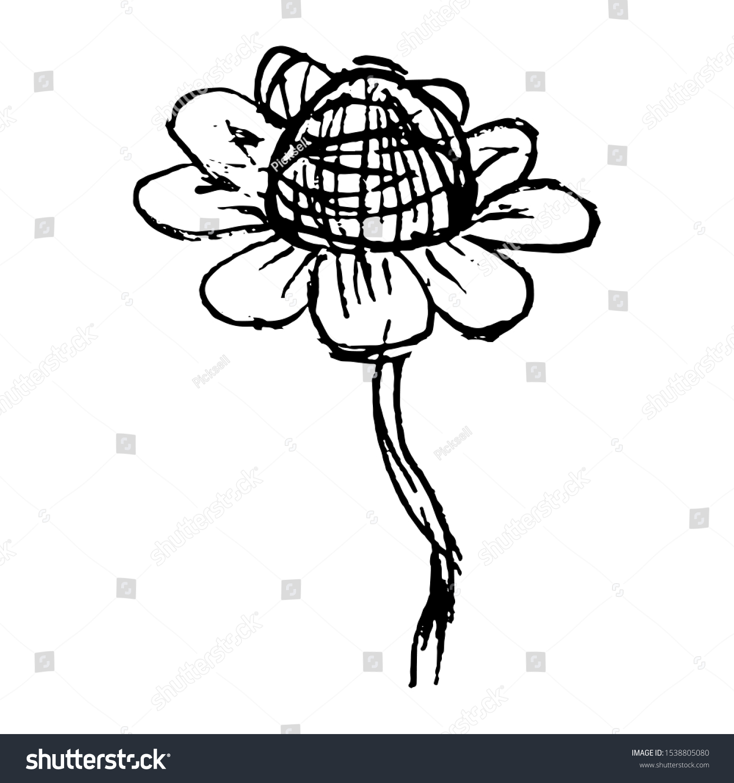 Black White Rough Flower Vector Hand Stock Vector (royalty Free) 1538805080