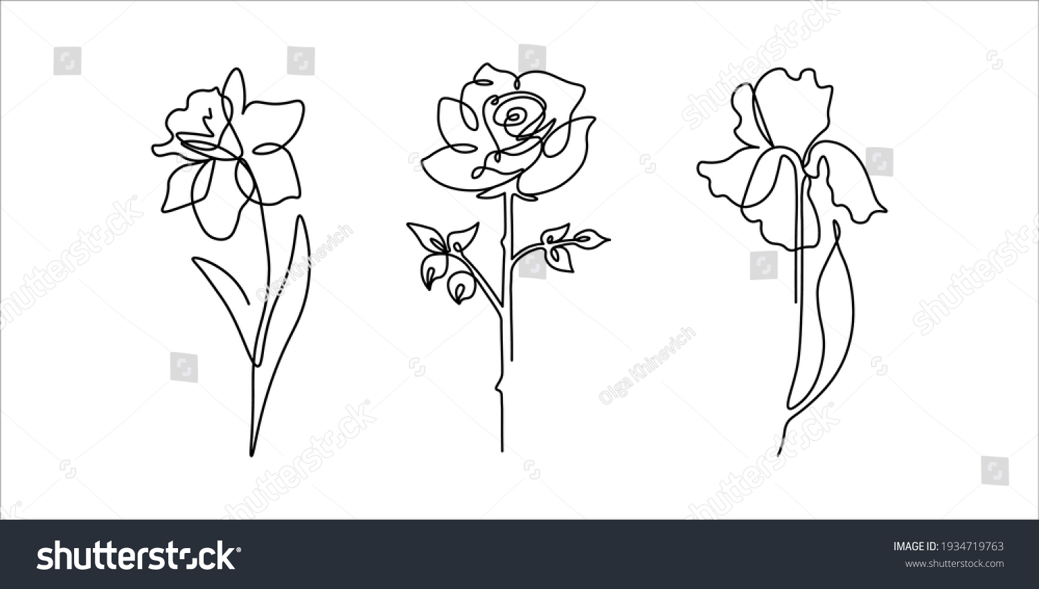 SVG of Black and white set of illustrations of iris, rose, daffodil flowers continuous line drawing. Hand drawn vector element for invitation and decoration, postcard, flyer, banner, website svg