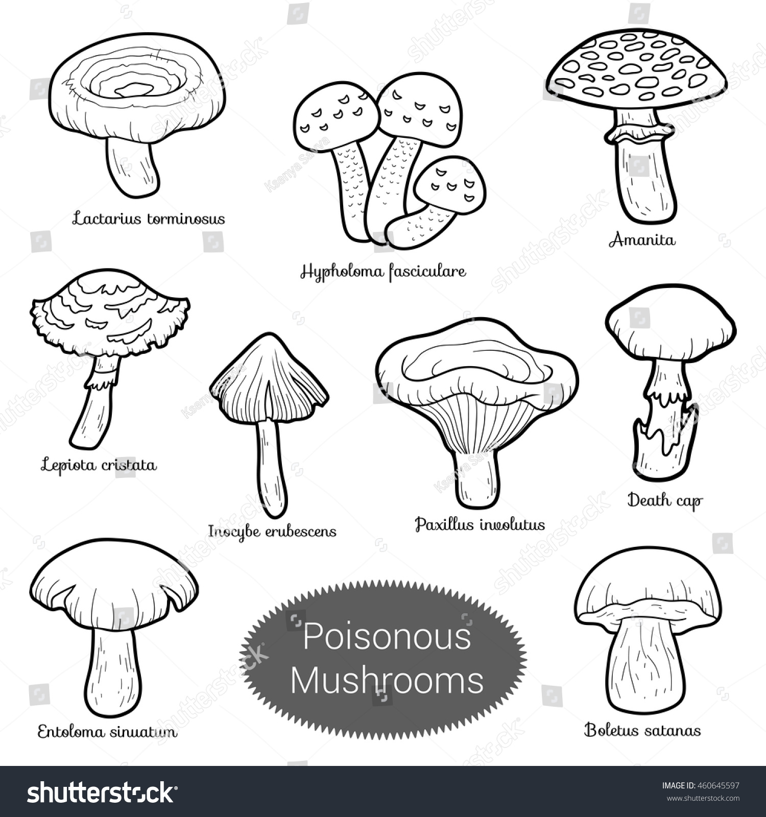 Black And White Set Of Poisonous Mushrooms, Coloring Page With ...