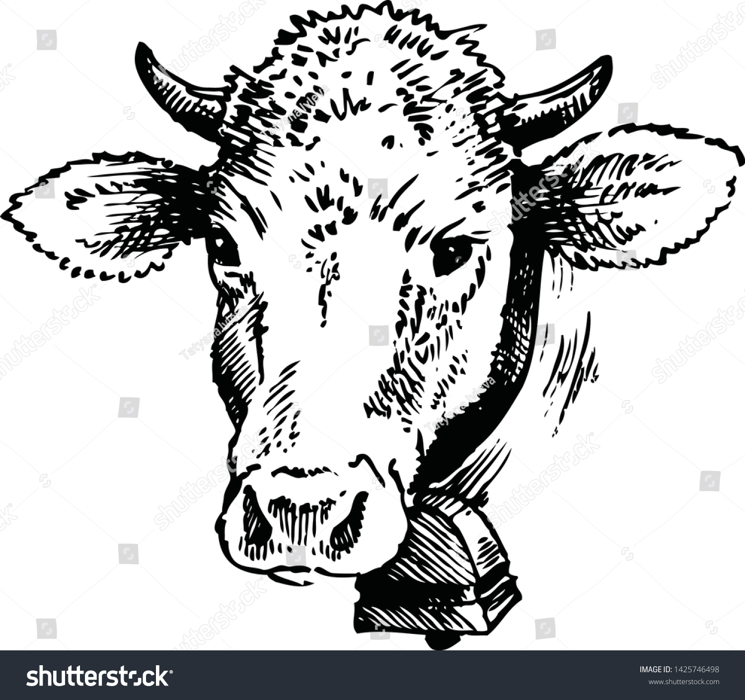 Black White Sketch Cows Face Vector Stock Vector (Royalty Free ...