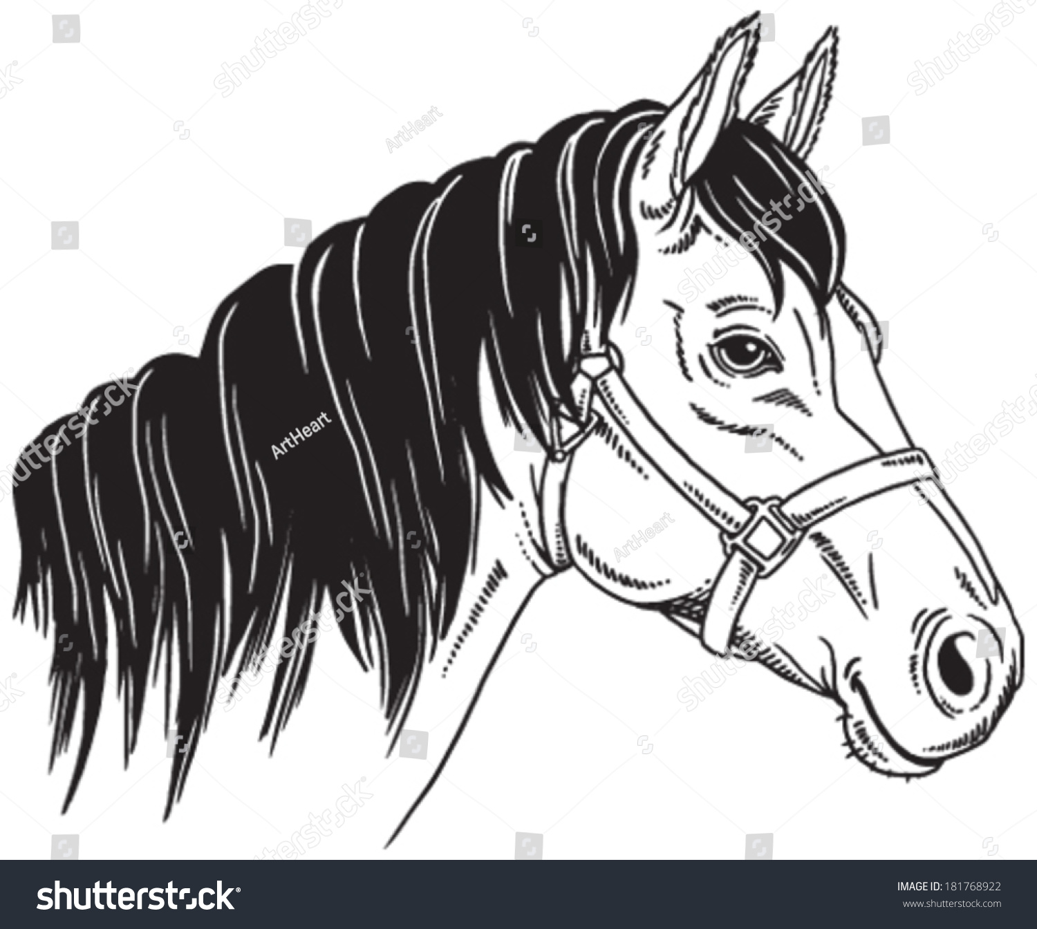 Black White Sketch Horses Face Vector Stock Vector 181768922 - Shutterstock