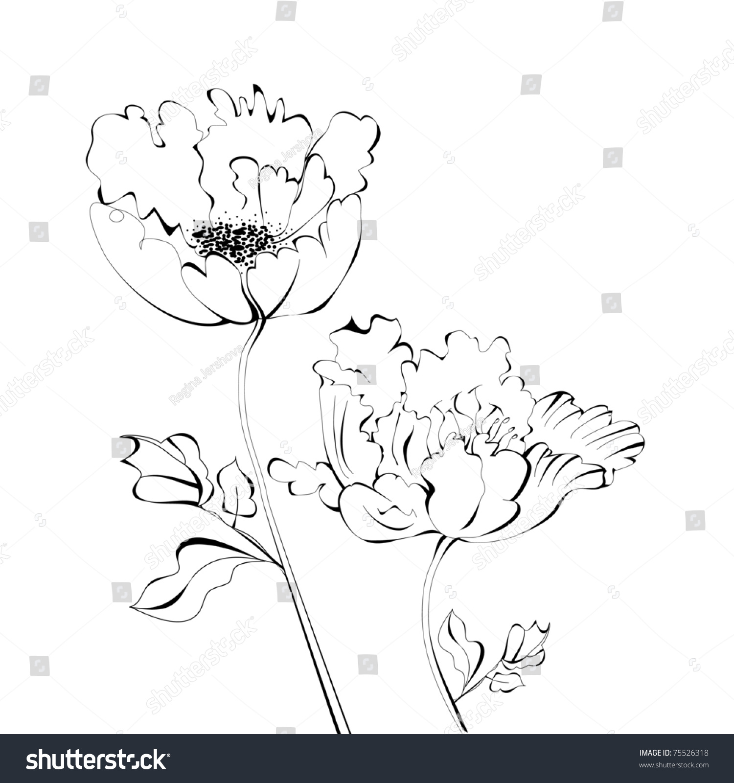 Black And White Sketch With Flowers Stock Vector Illustration 75526318 ...