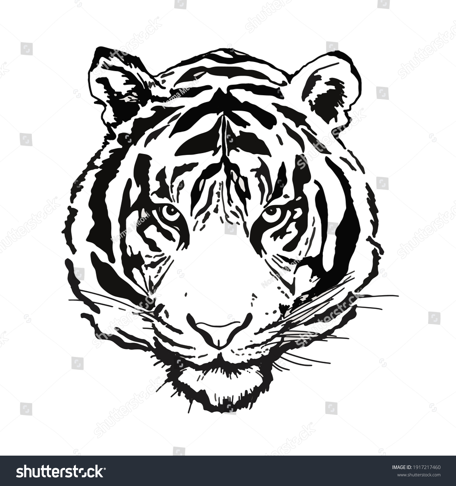 43 873 Tiger Face Black And White Images Stock Photos Vectors Stock Vector Black And White Tiger Face 1917217460