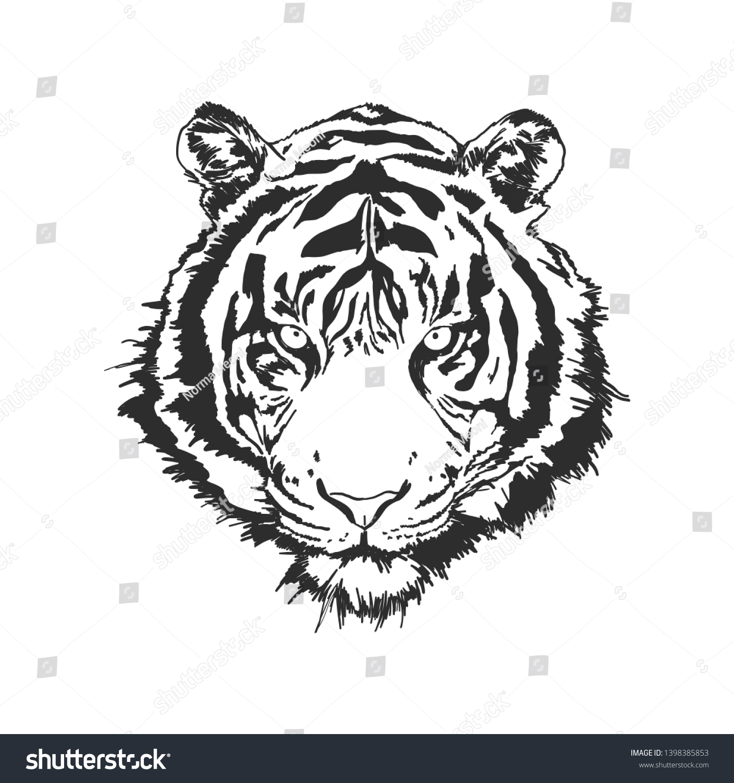 Black White Tiger Head Vector Illustration Stock Vector (Royalty Free ...