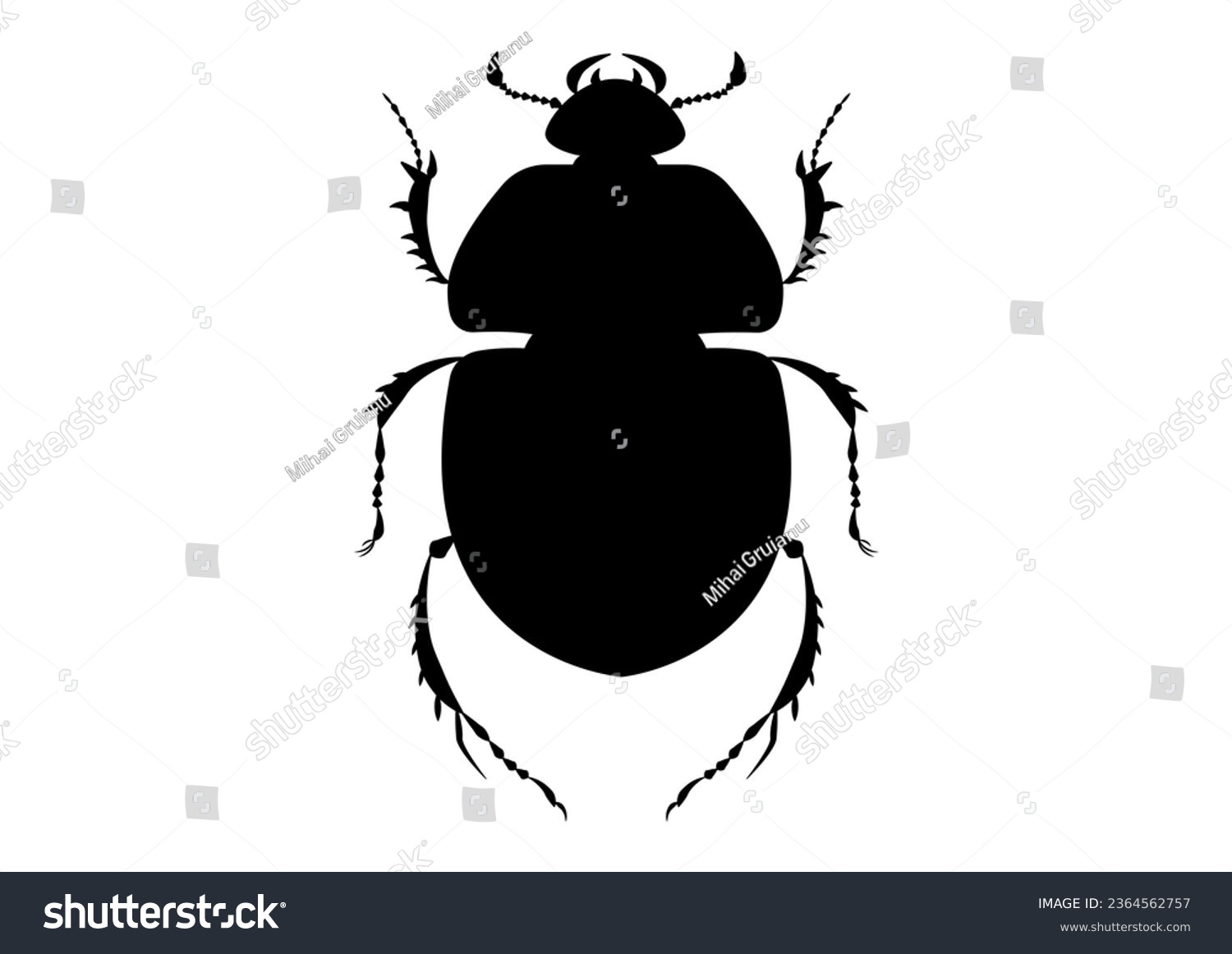 SVG of Black and White Trypocopris Vernalis Beetle Silhouette svg
