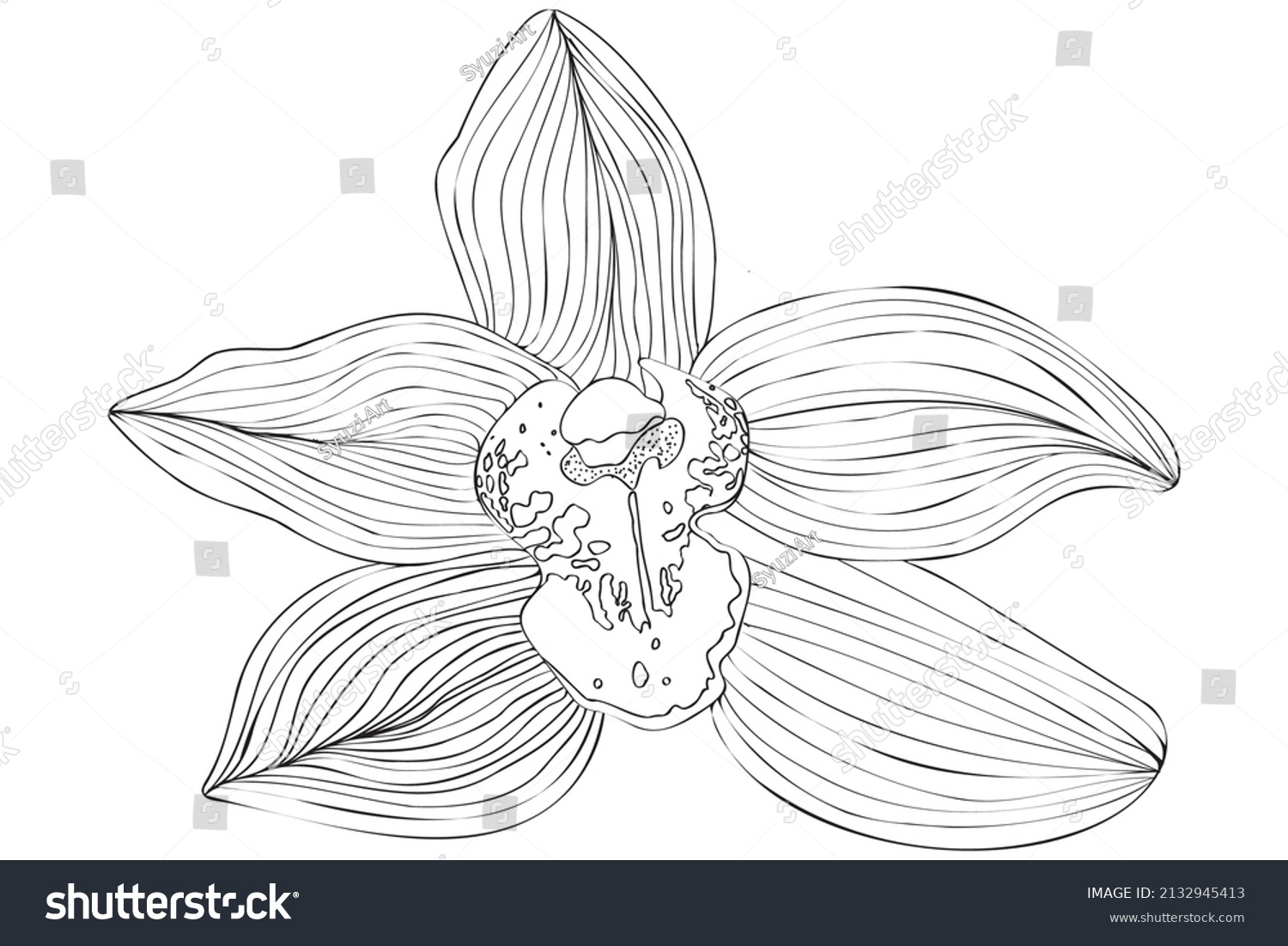 Black White Vector Flower Line Art Stock Vector (Royalty Free) 2132945413