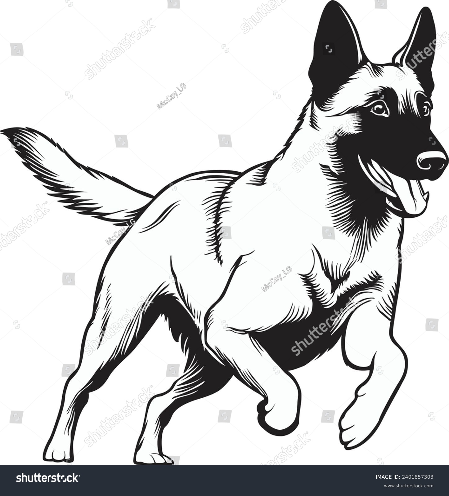 SVG of Black and White Vector illustration of a Belgian Malinois Dog svg