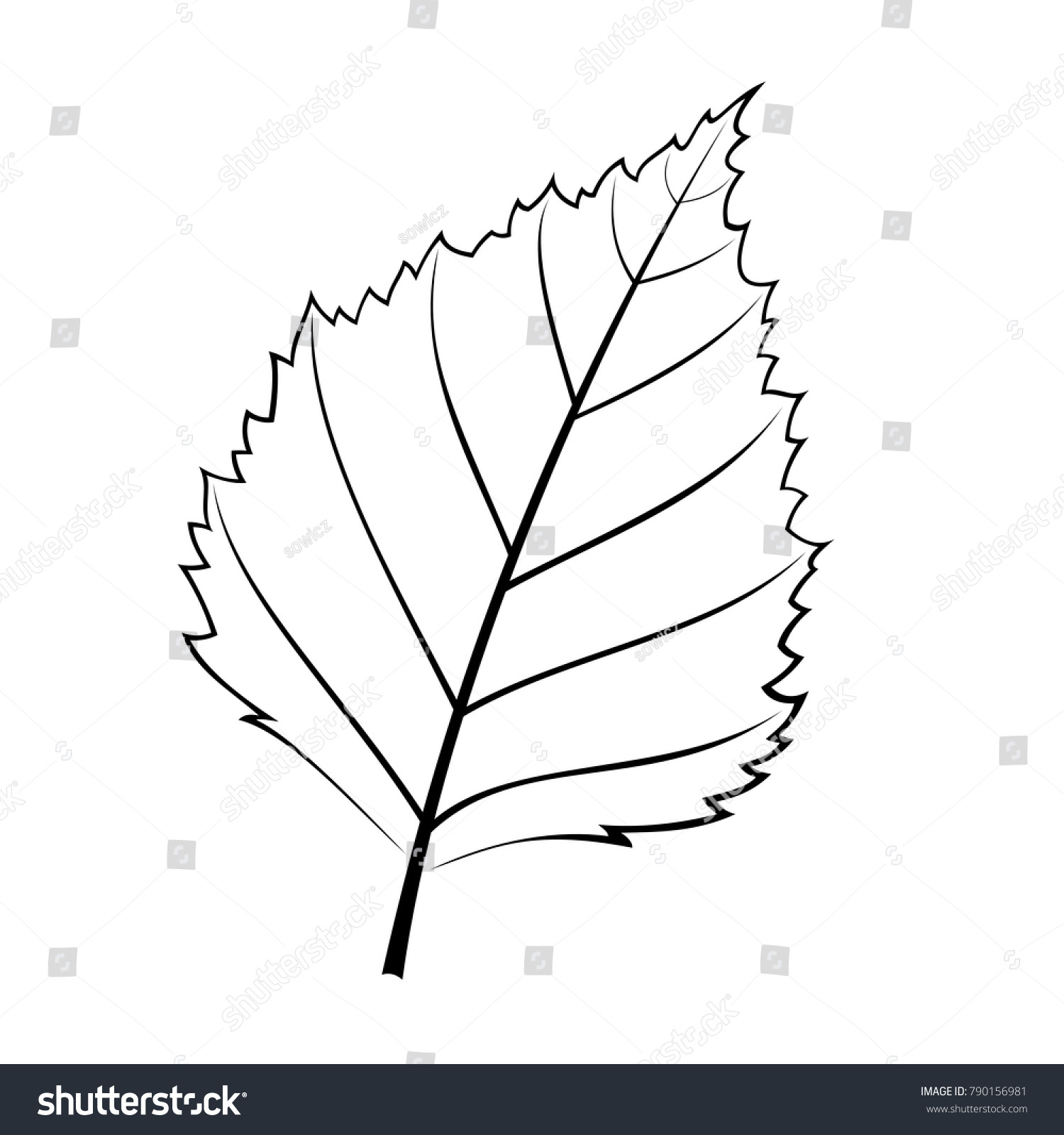 Black White Vector Illustration Birch Leaf Stock Vector (royalty Free 