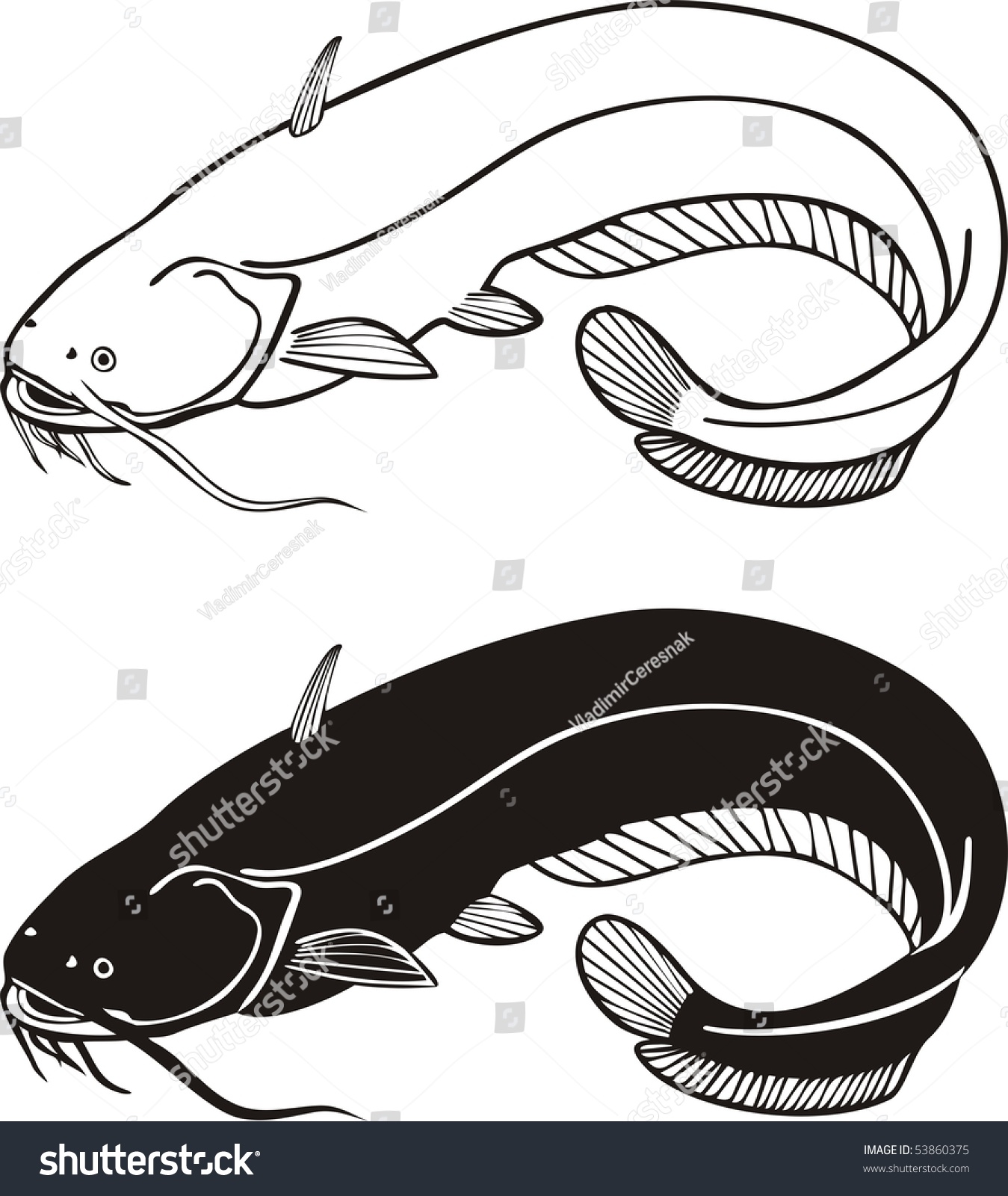 Black White Vector Illustration Catfish Stock Vector 53860375