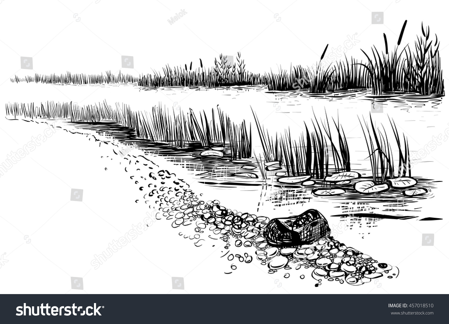 川の風景を描いた白黒のベクター画像イラスト 葦と尾を持つ川の岸 スケッチスタイル のベクター画像素材 ロイヤリティフリー