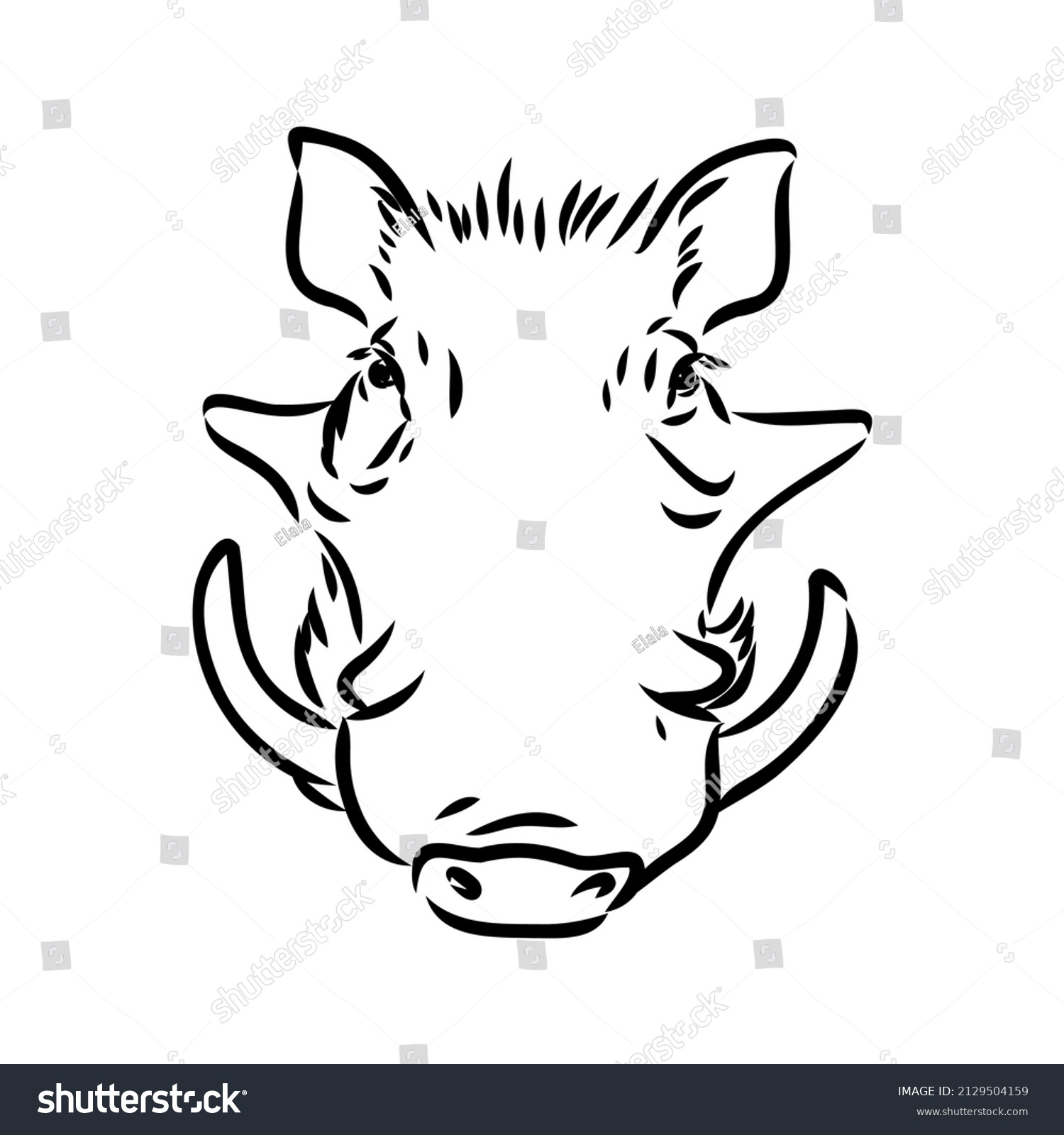 recommend clip art: Black and white vector line drawing of a Warthog
