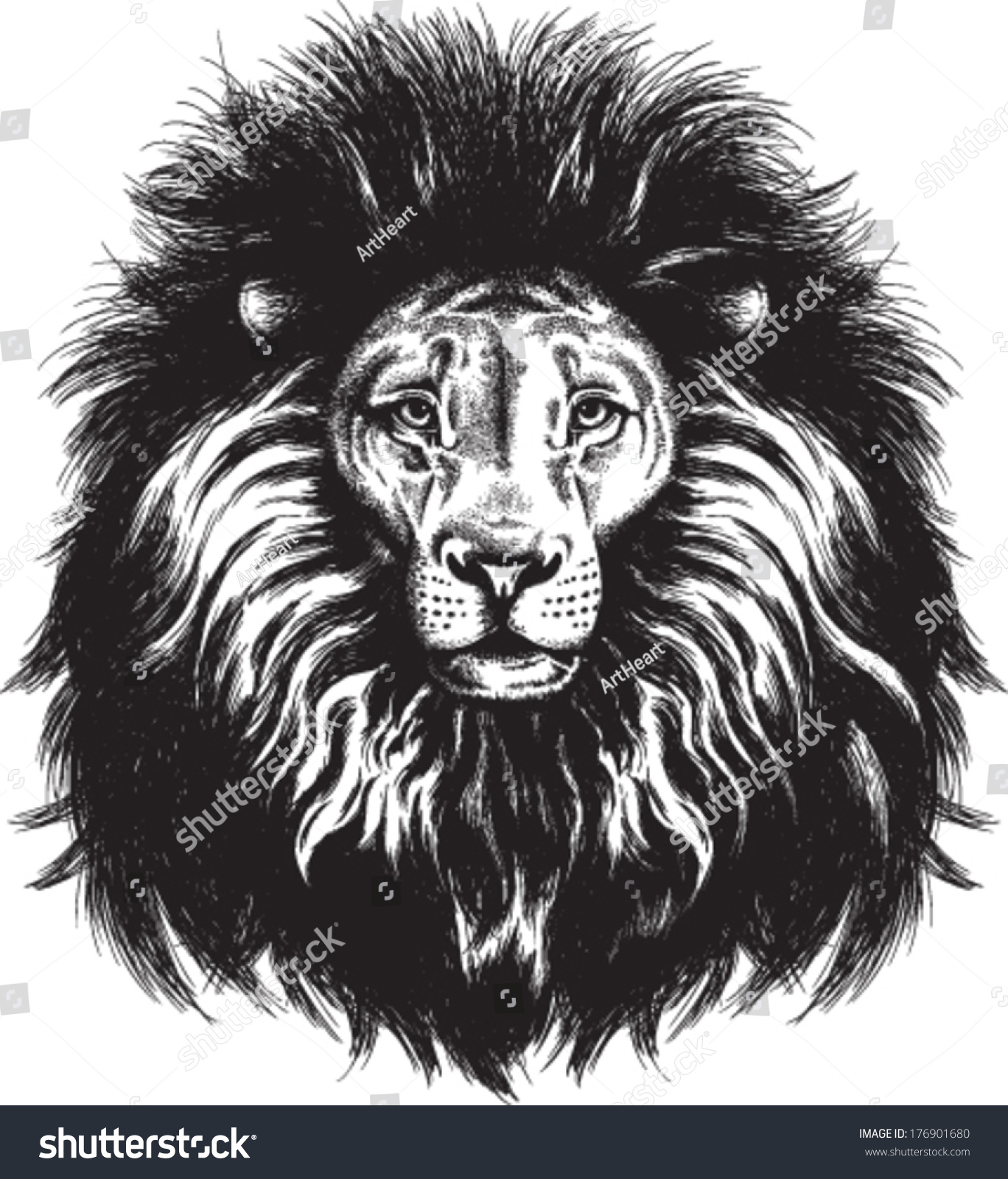 Black White Vector Sketch Majestic Lions Stock Vector 176901680 ...