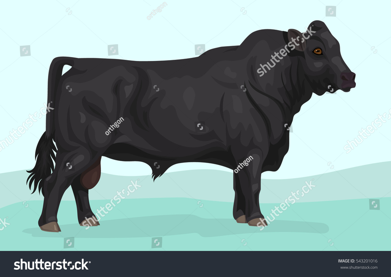 SVG of black angus bull breed svg