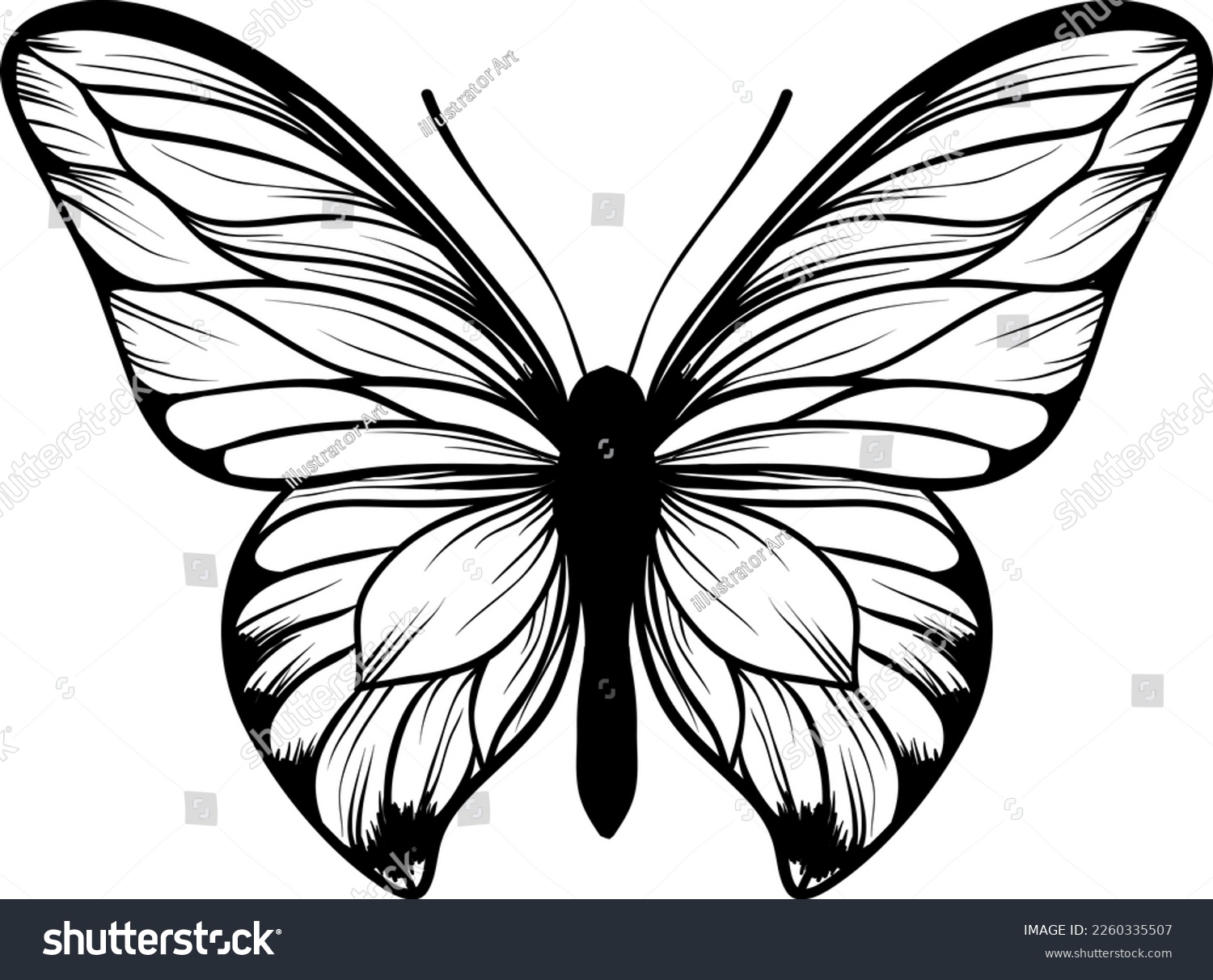 SVG of black butterfly SVG, Butterfly vector illustration, butterfly logo svg