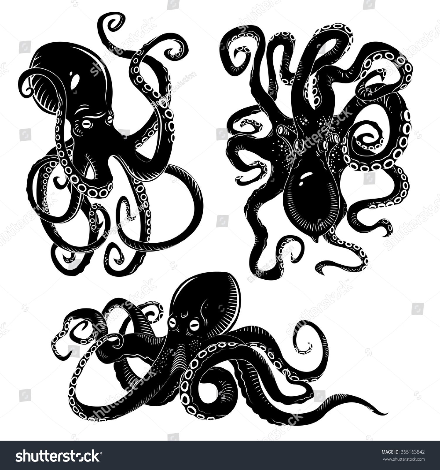 Black Danger Cartoon Octopus Characters Curling Stock Vector (Royalty ...