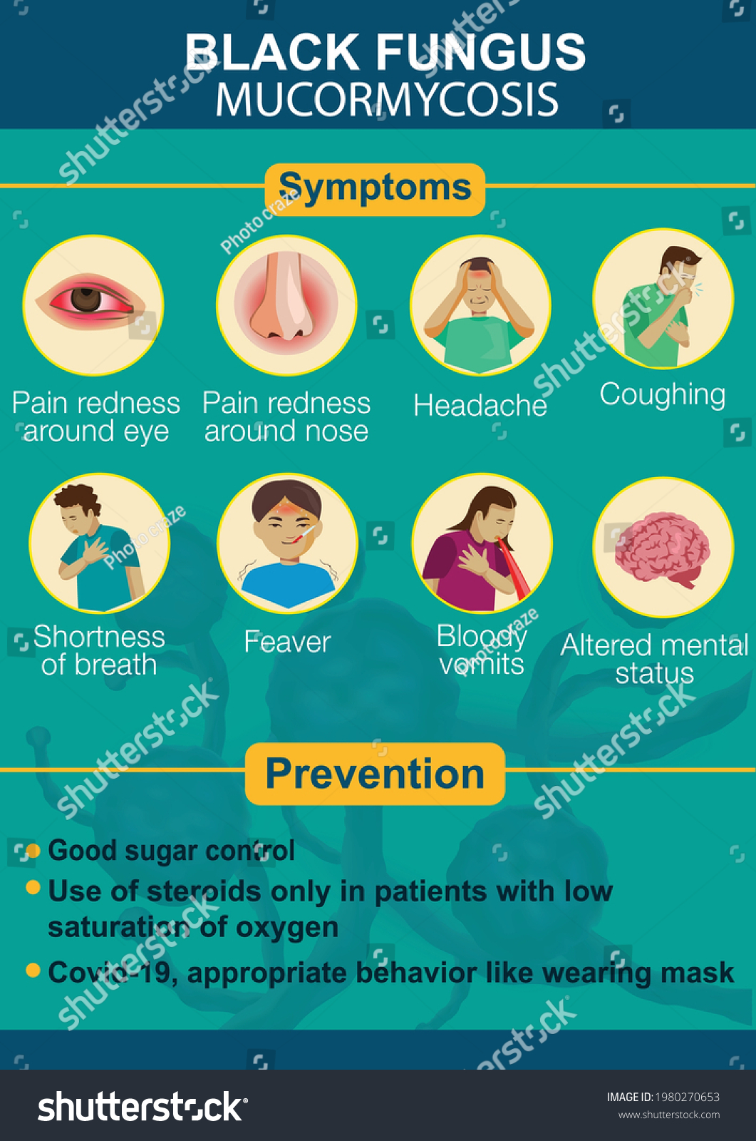 Black Fungus Disease Infographics Symptoms Prevention Stock Vector ...