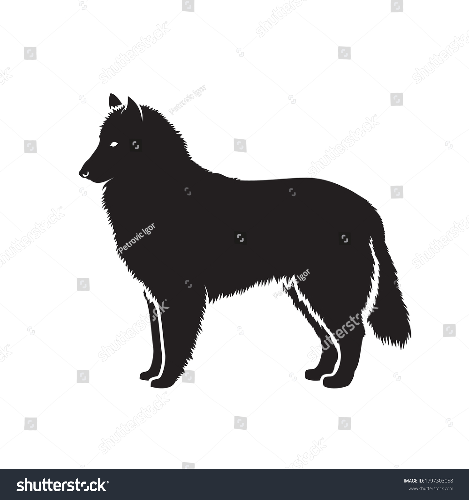 SVG of Black groenendaeler belgian shepherd dog - isolated vector illustration svg