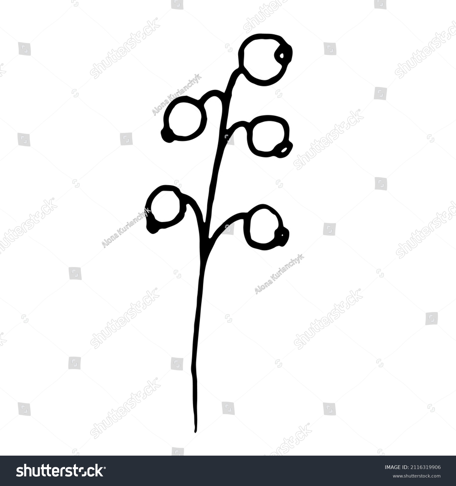 Black Herb Vector Clipart Hand Drawn Stock Vector (Royalty Free) 2116319906