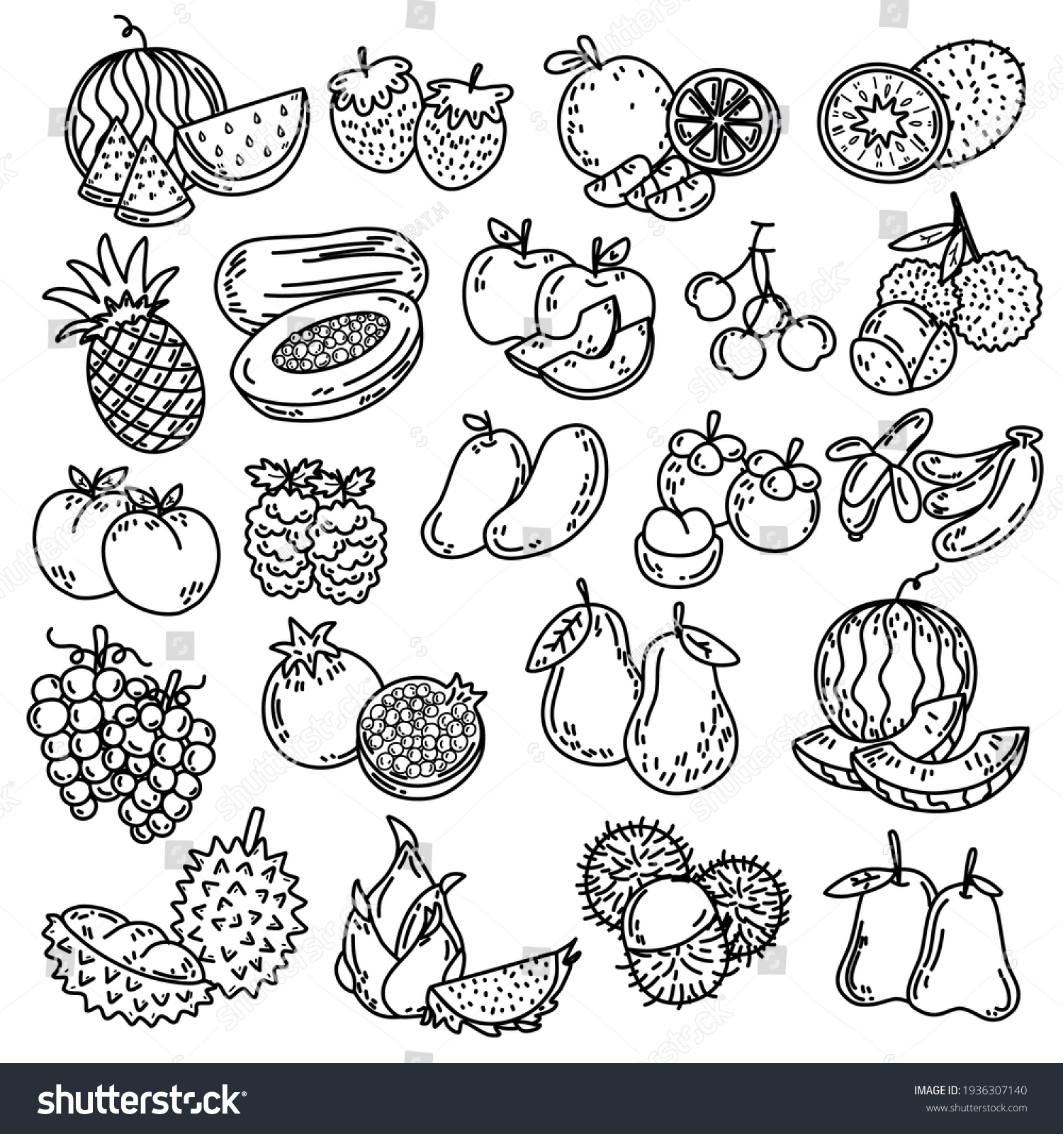 21,913 Melon draw Images, Stock Photos & Vectors | Shutterstock