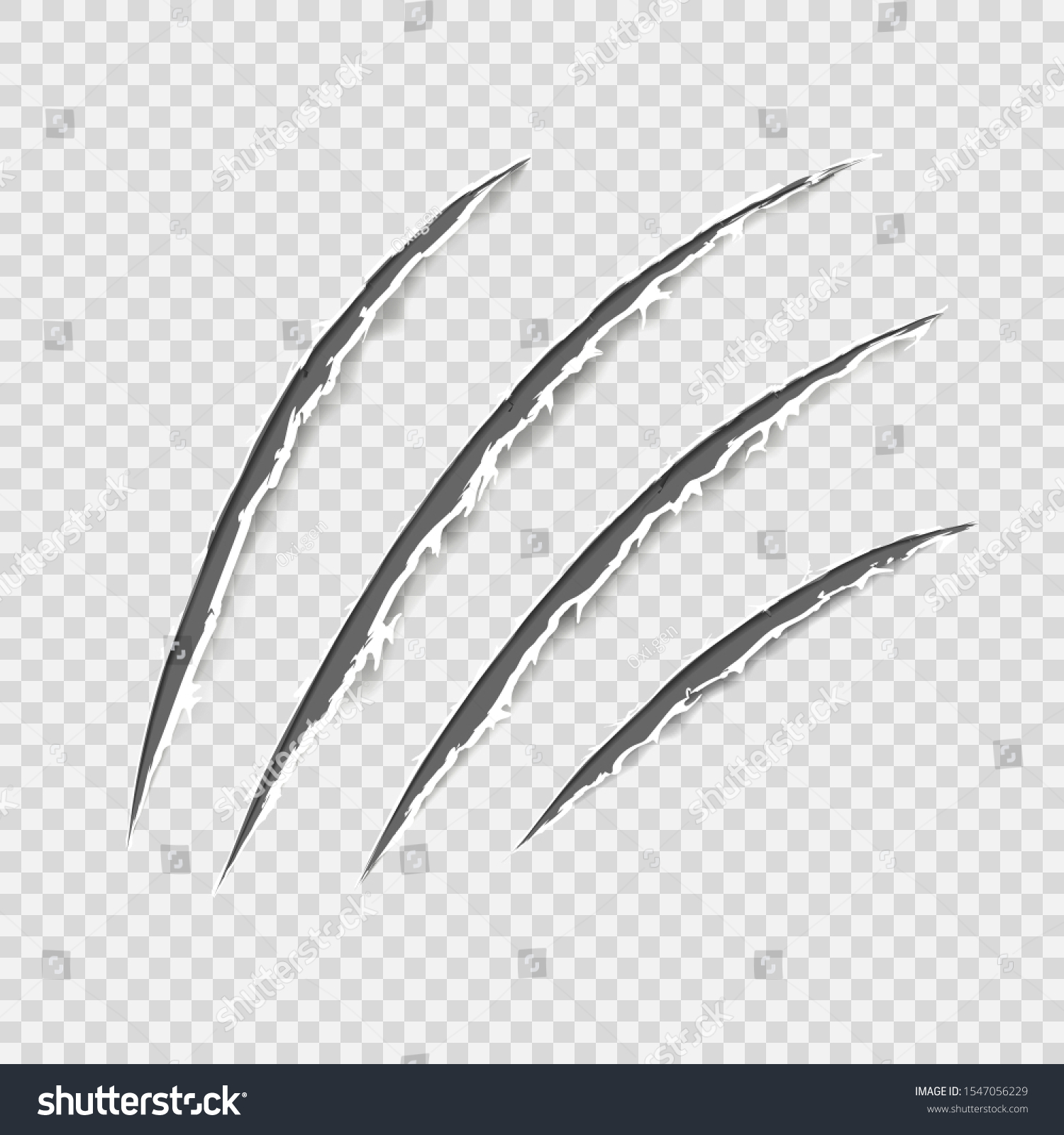 黒いリアルな爪は動物の爪跡を削る 猫虎は手の形を掻く 爪が4本残っている 傷んだ布 不規則なエッジ 透明な背景 分離型 ベクターイラスト のベクター画像素材 ロイヤリティフリー