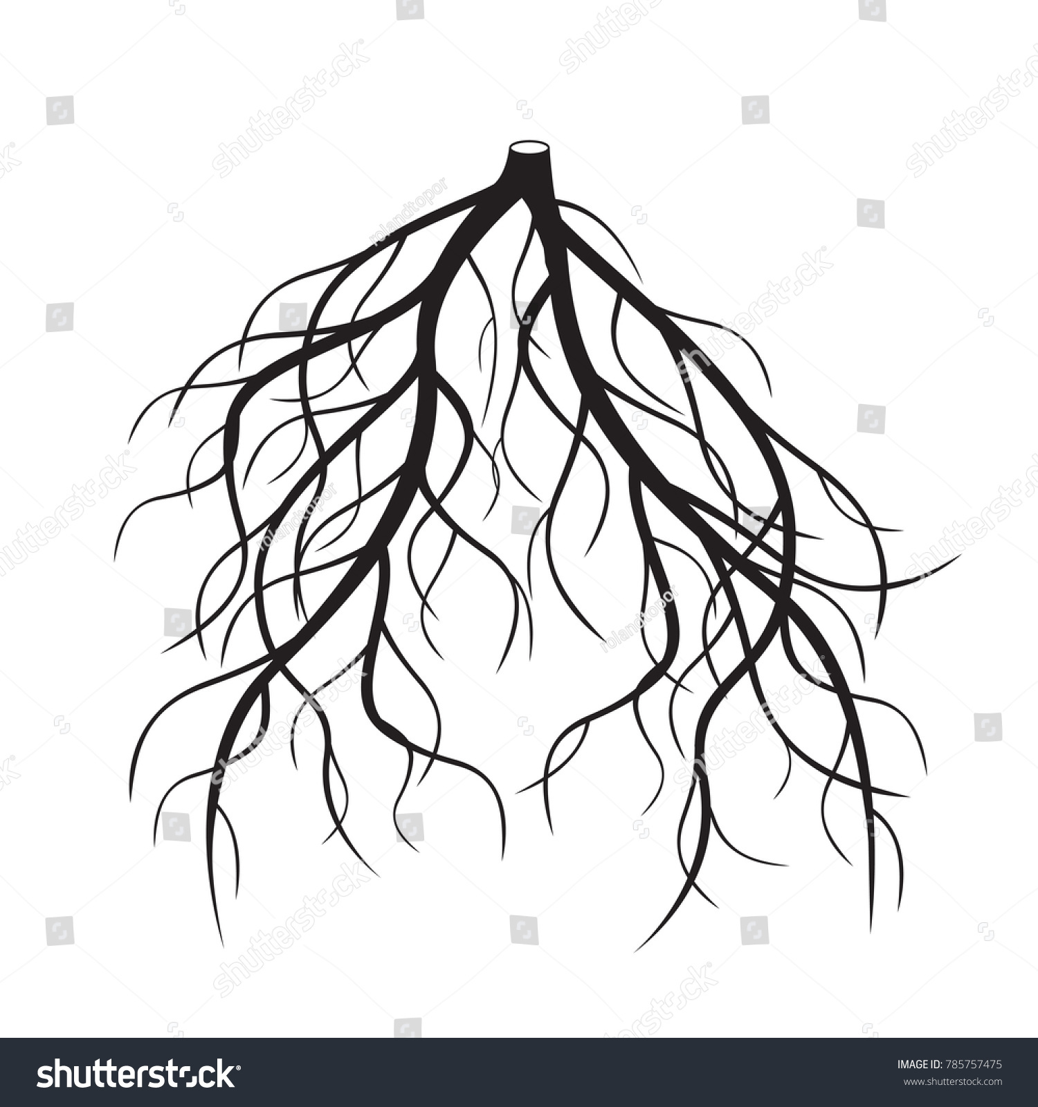 Black Roots Tree Vector Illustration Stock Vector (Royalty Free ...