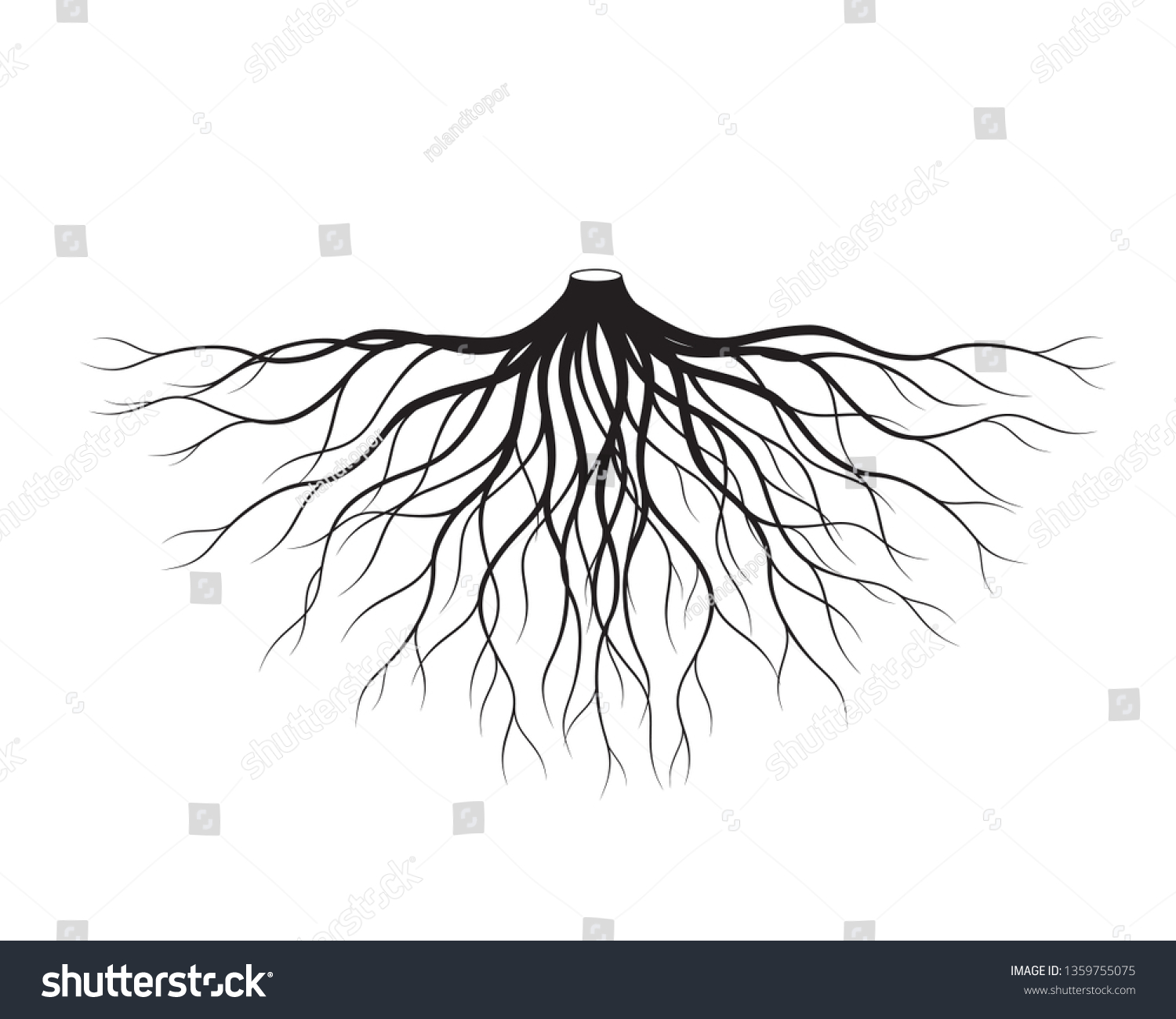 Black Roots Tree Vector Illustration Plant Stock Vector (Royalty Free ...