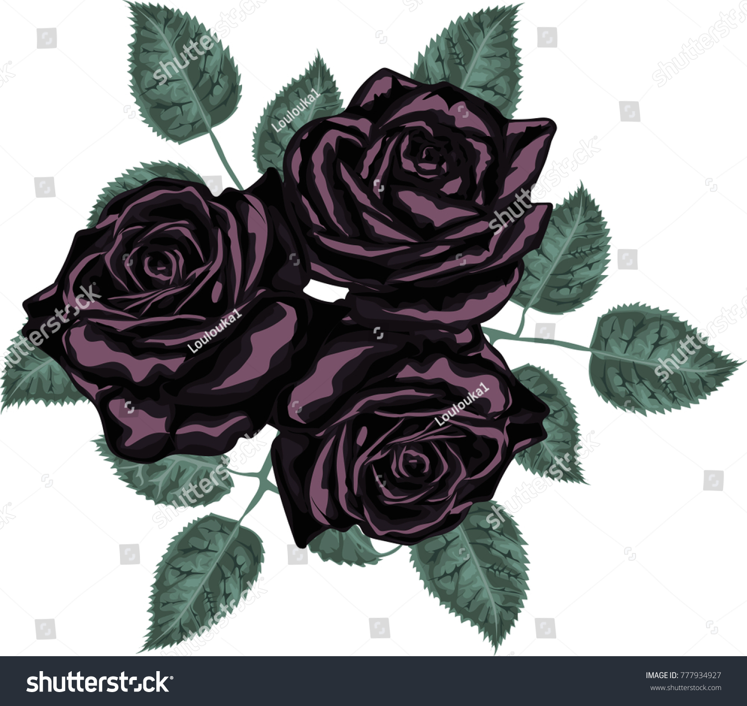 Black Roses Vector Stock Vector (Royalty Free) 777934927 | Shutterstock