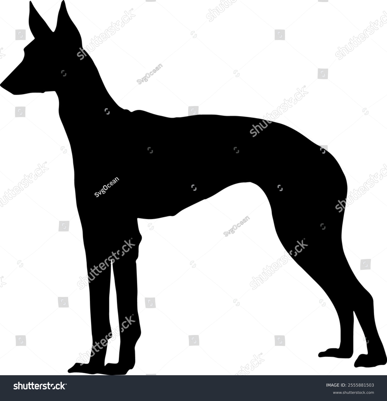 recommend clip art: Black silhouette of a dog isolated on a transparent background. Flat vector illustration