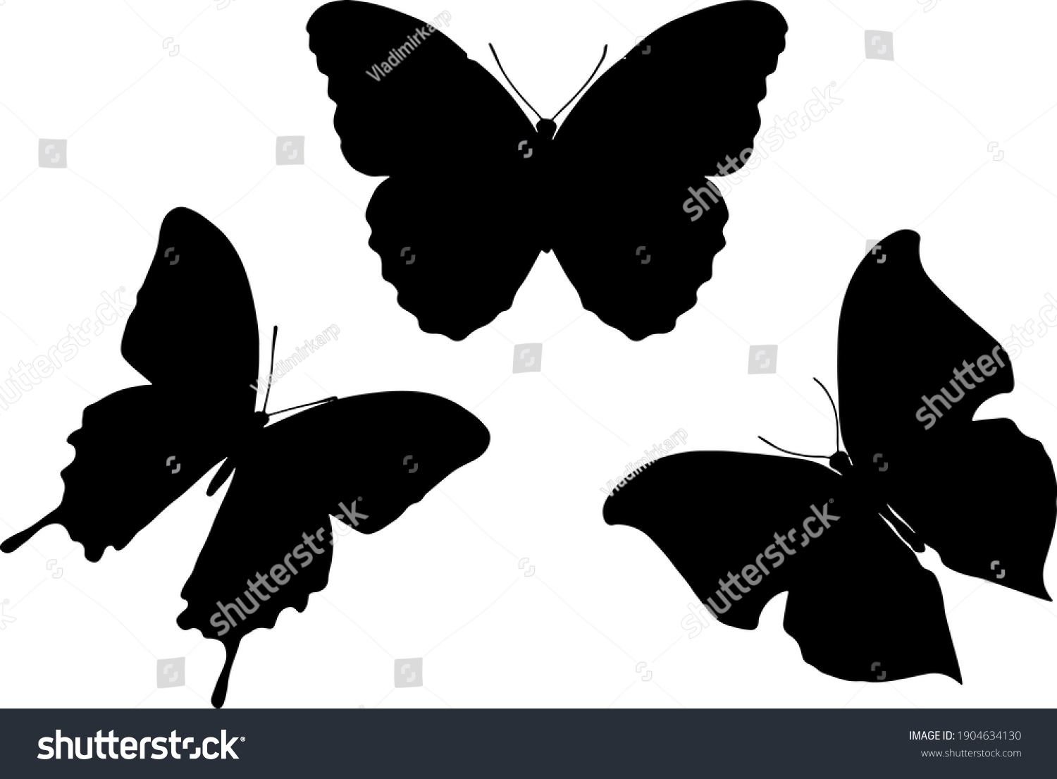 Black Silhouette Butterflies Isolated On White Stock Vector Royalty