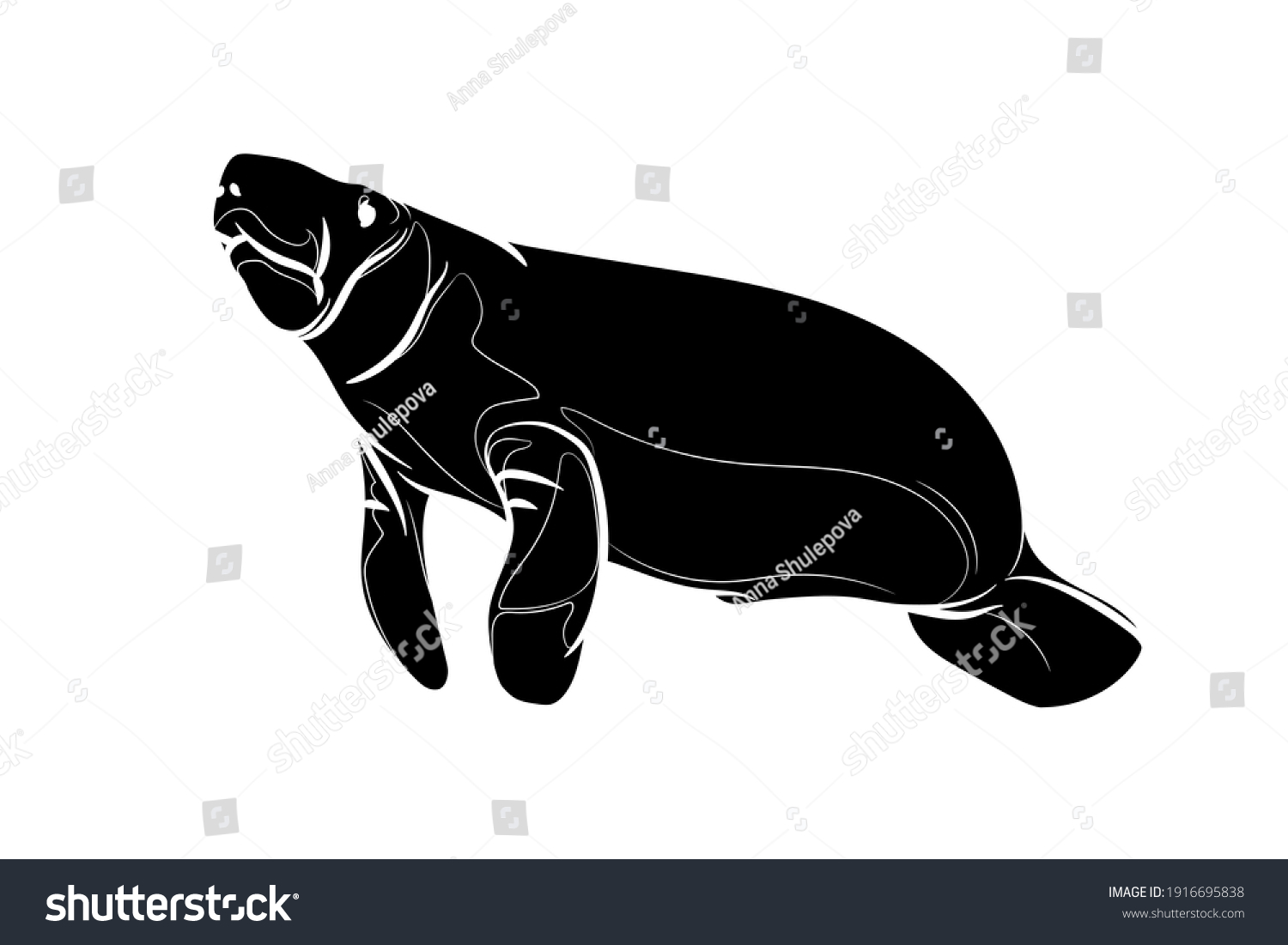 SVG of Black silhouette of the manatee on white background. Graphic drawing. Vector illustration. svg