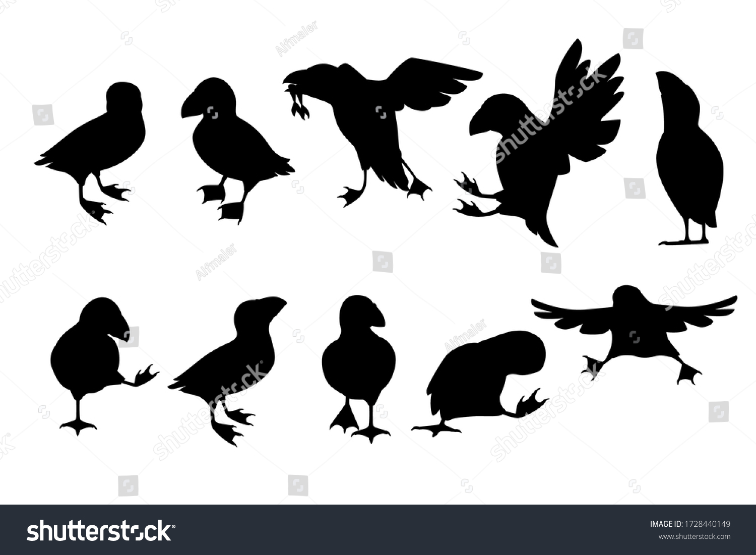 SVG of Black silhouette set of atlantic puffin bird in different poses cartoon animal design flat vector illustration isolated on white background svg