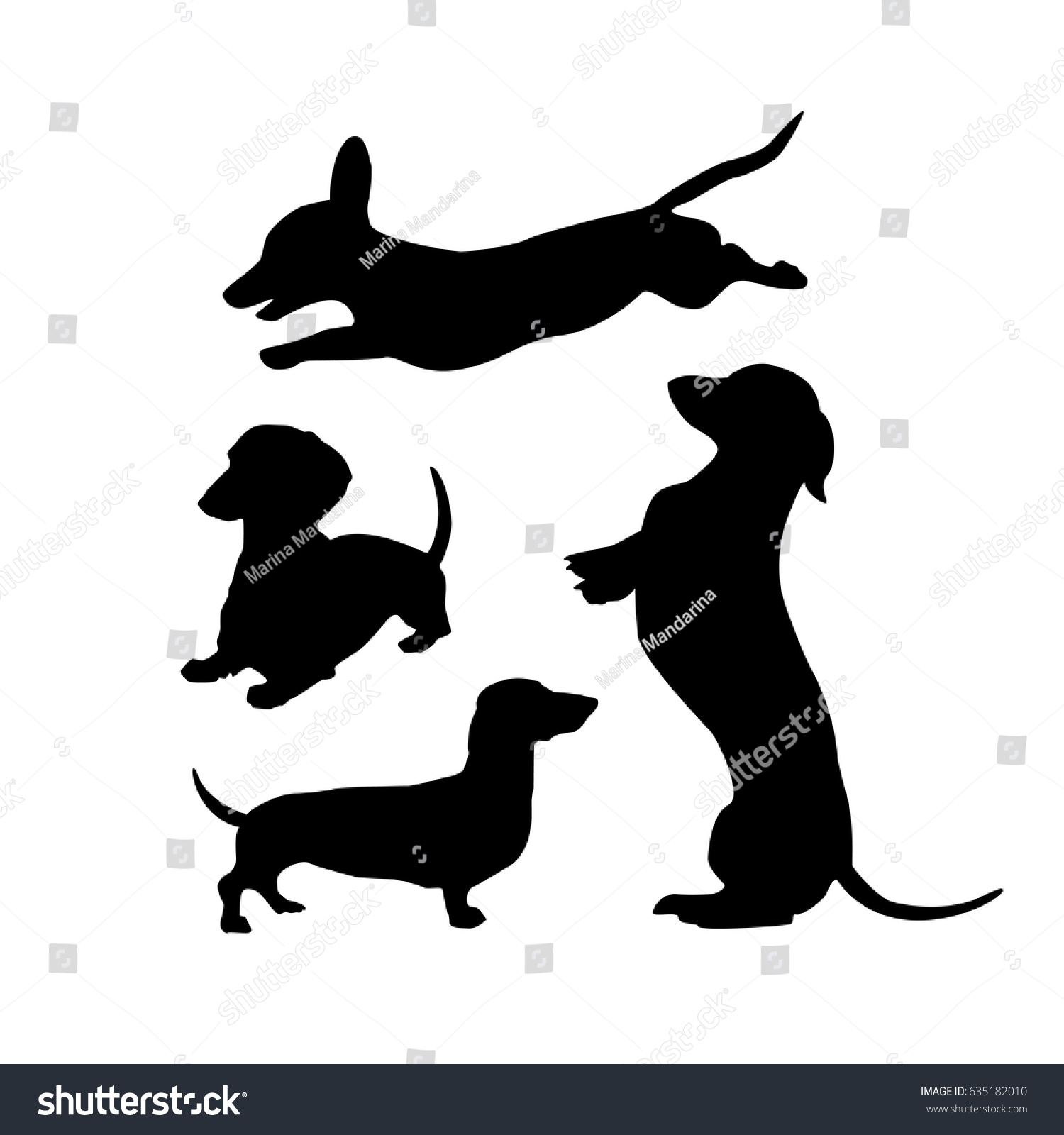 白い背景に黒いダッチャンド犬のシルエット かわいいデザインのベクターイラスト のベクター画像素材 ロイヤリティフリー