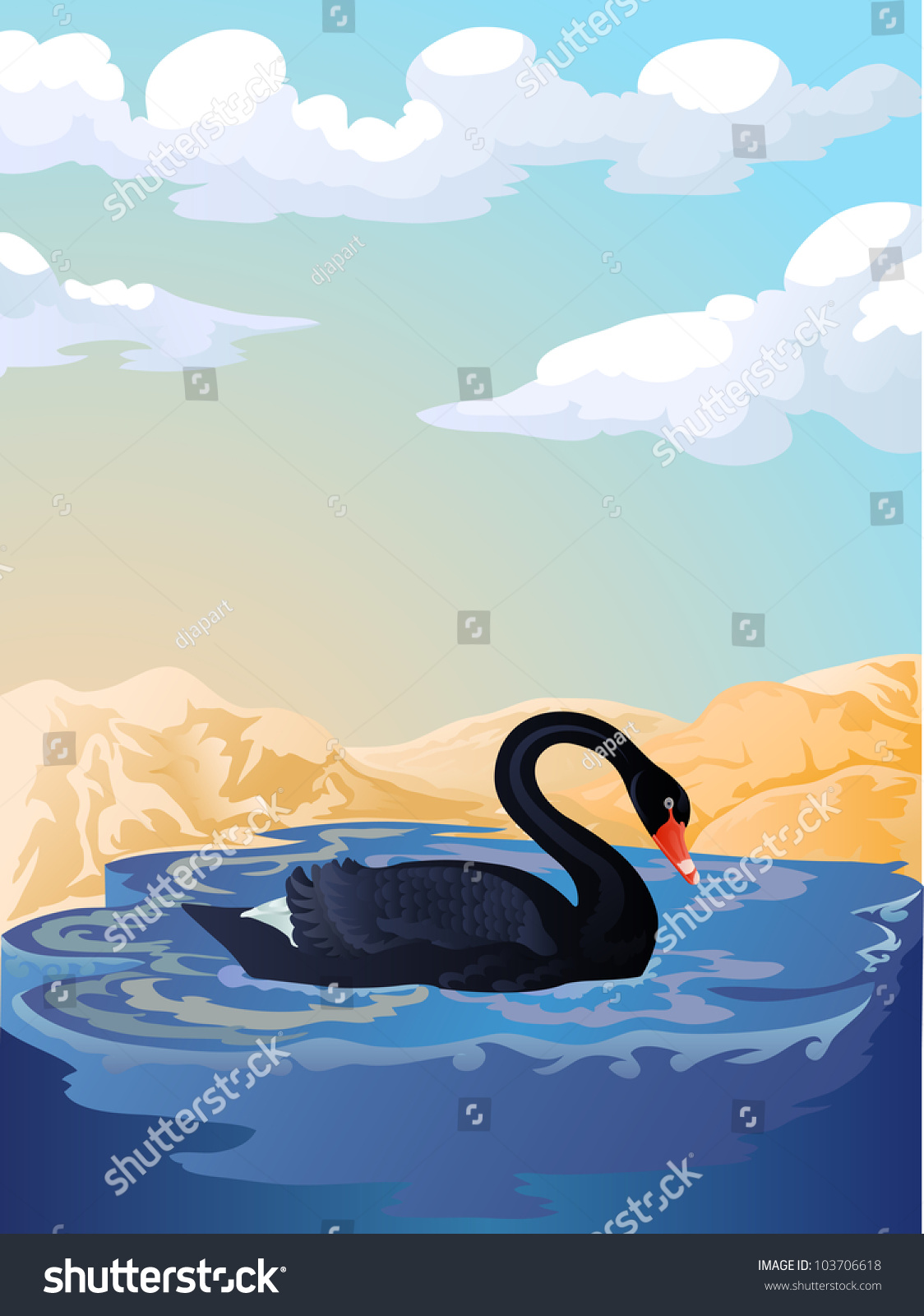 Black Swan Swimming Lake Blue Sky Stock Vector Royalty Free