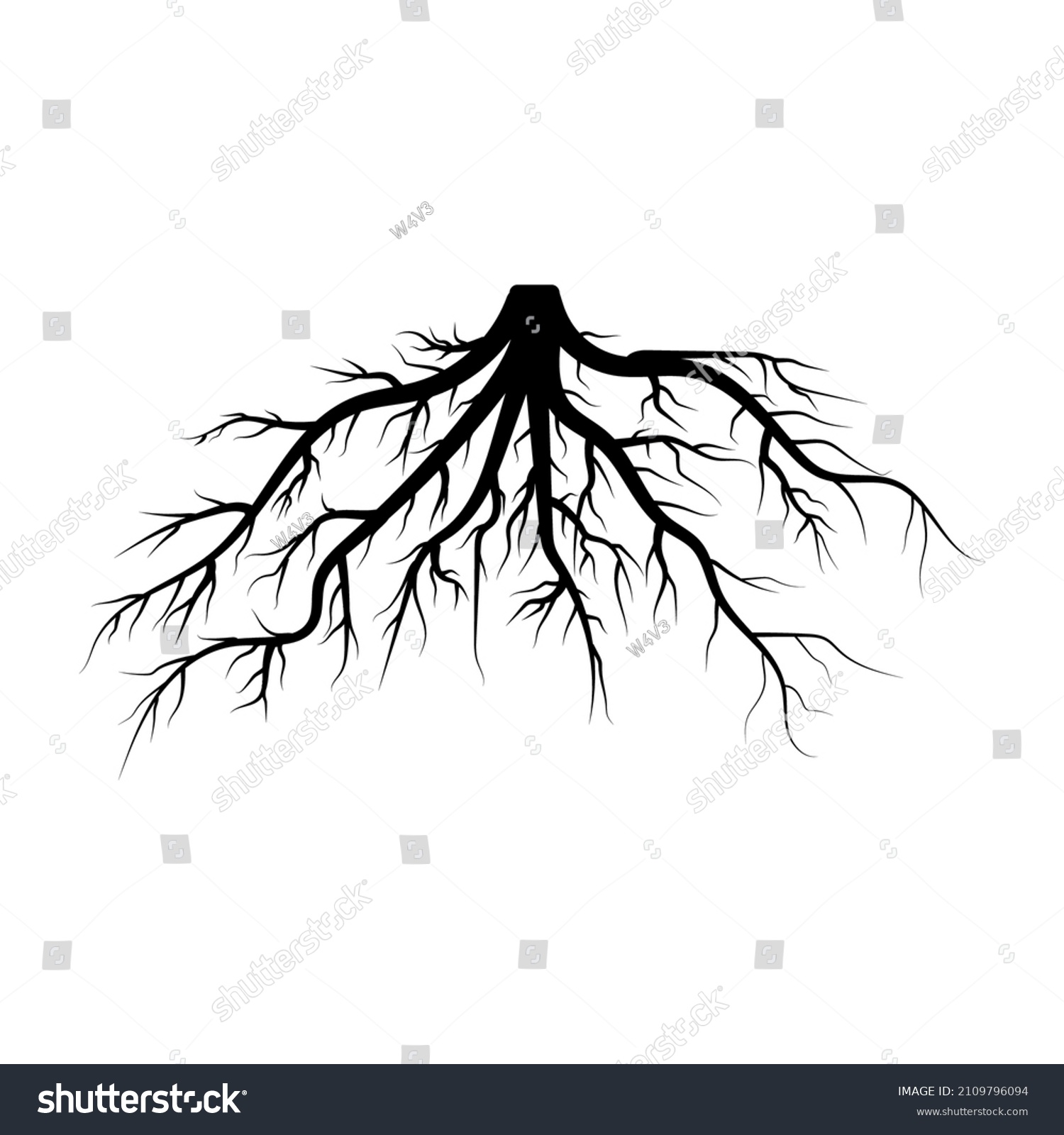 Black Tree Roots On White Background Stock Vector (Royalty Free ...