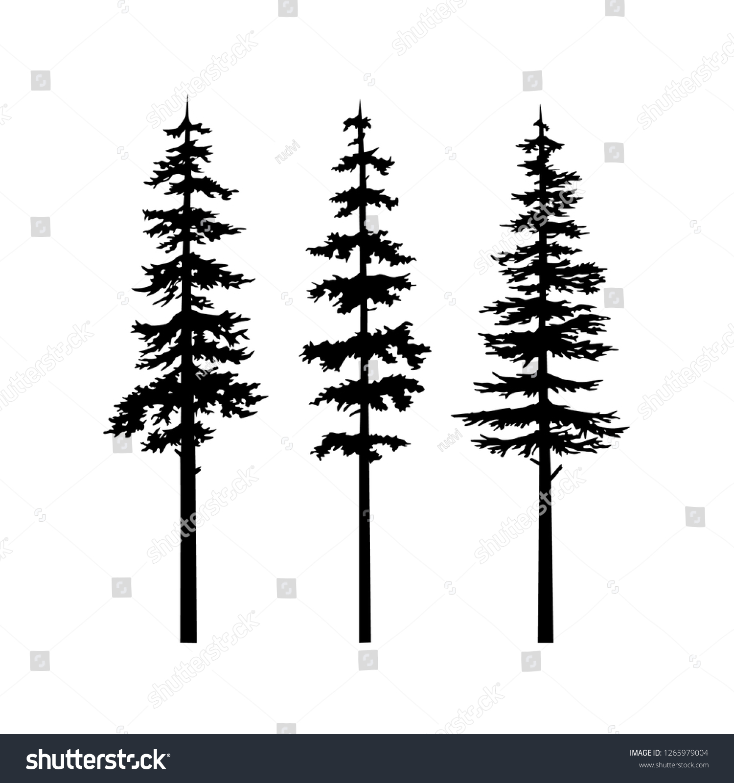 SVG of Black Tree Silhouette vector, collection tree cypress silhouette, coniferous nature vector set isolated illustration, tribal art templates, tattoo idea. Sketch for interior design and clothing design svg