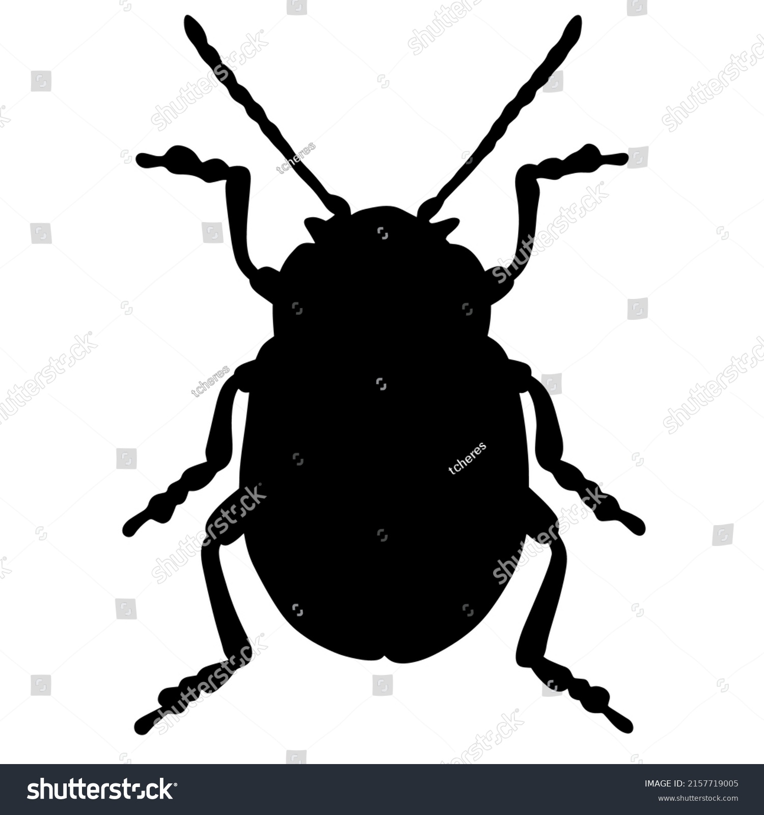 Black Vector Illustration Tropical Beetle Insect Stock Vector (Royalty ...