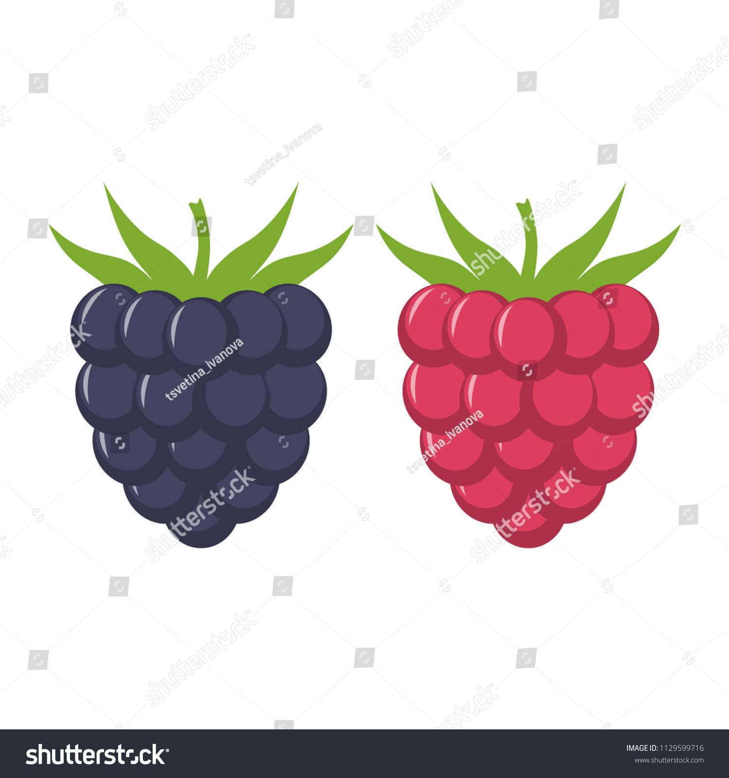 Descubra Blackberry Y Frambuesa Con Hojas Icono Imagenes De Stock En Hd Y Millones De Otras Fotos Ilustraciones Y Vectores En Stock Libres De Regalias En La Coleccion De Shutterstock Se Agregan Miles De Imagenes Nuevas De Alta Calidad Todos Los Dias