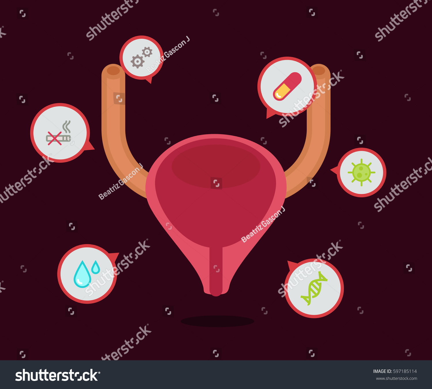 Bladder Vector Illustration Stock Vector (Royalty Free) 597185114 ...