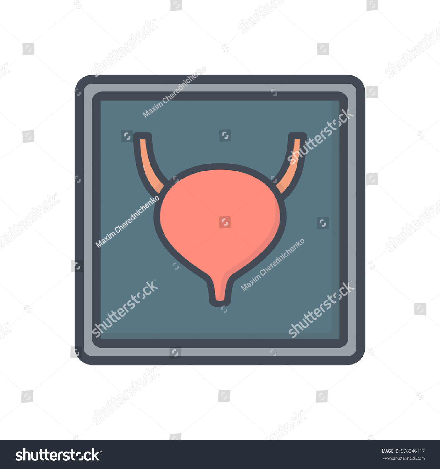 bladder icon, orange and blue, medical concept clip art preview
