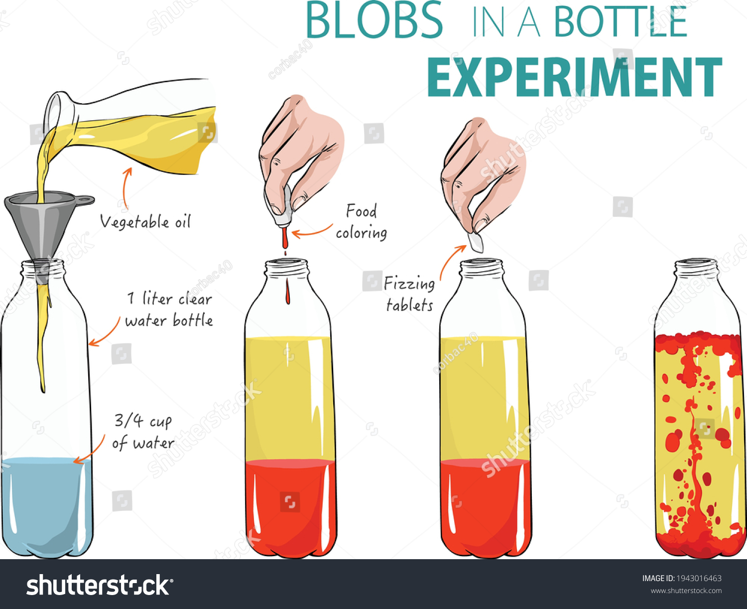 lava lamp experiment bottle