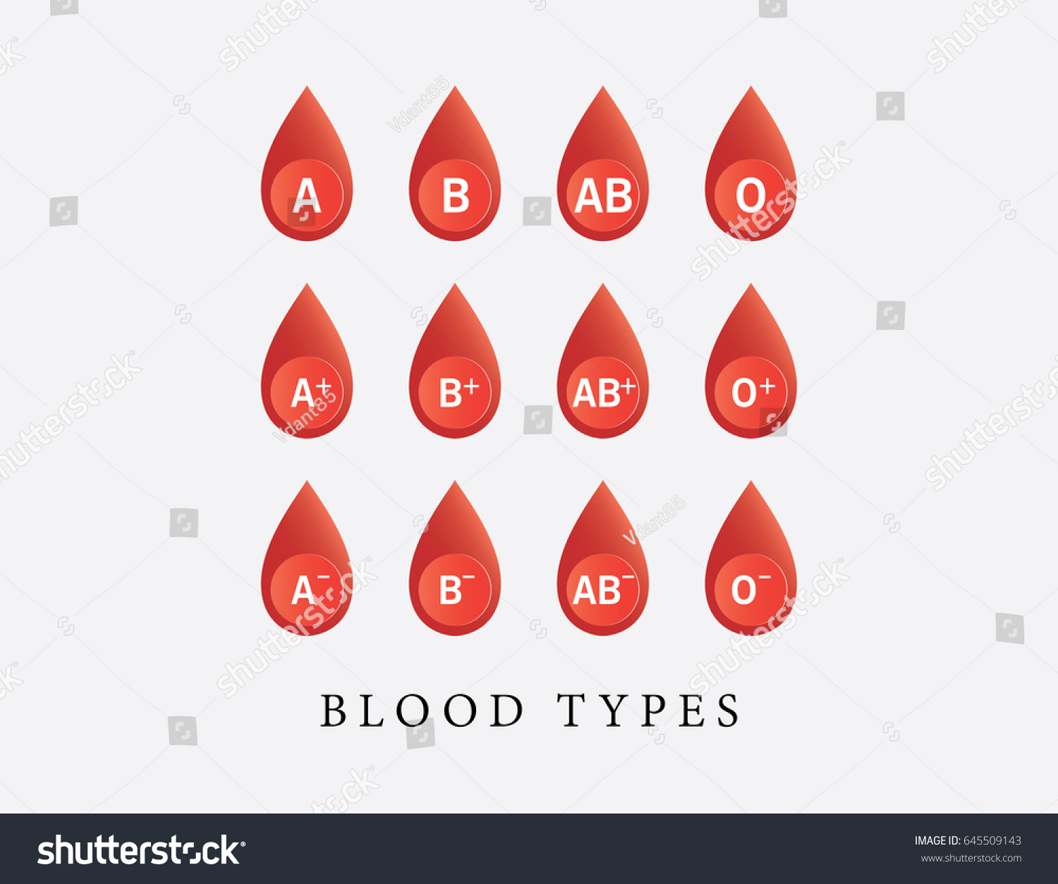 Blood Drops Different Blood Types Vector Stock Vector (Royalty Free ...