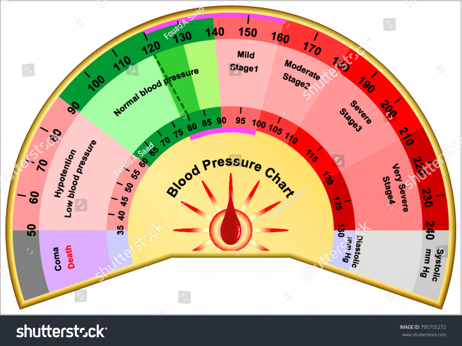 blood-pressure-chart-stock-vector-royalty-free-795755272