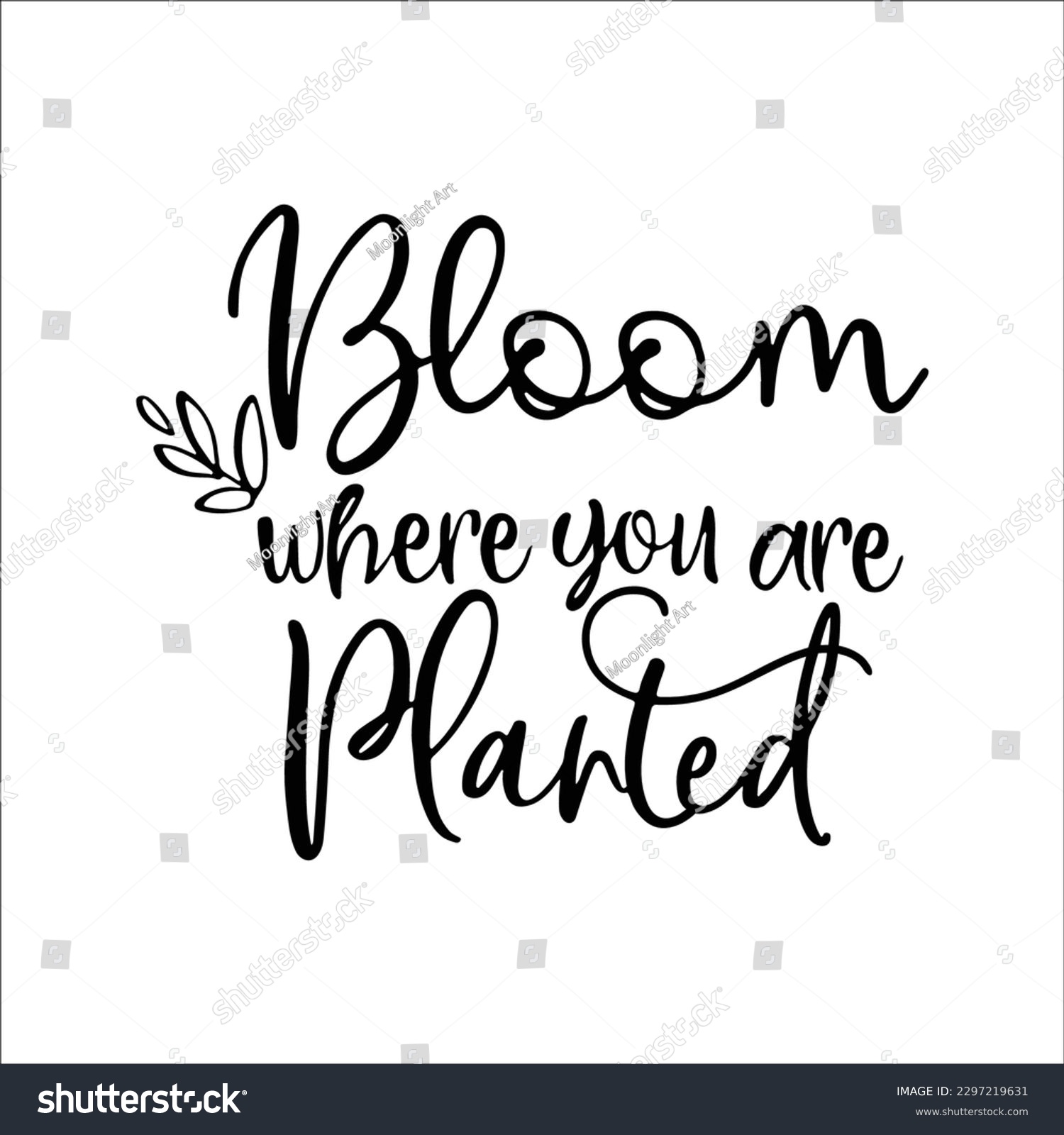 SVG of Bloom where you are planted SVG, Wildflower quote SVG, Flowers quotes SVG, Floral design, Floral cut file svg