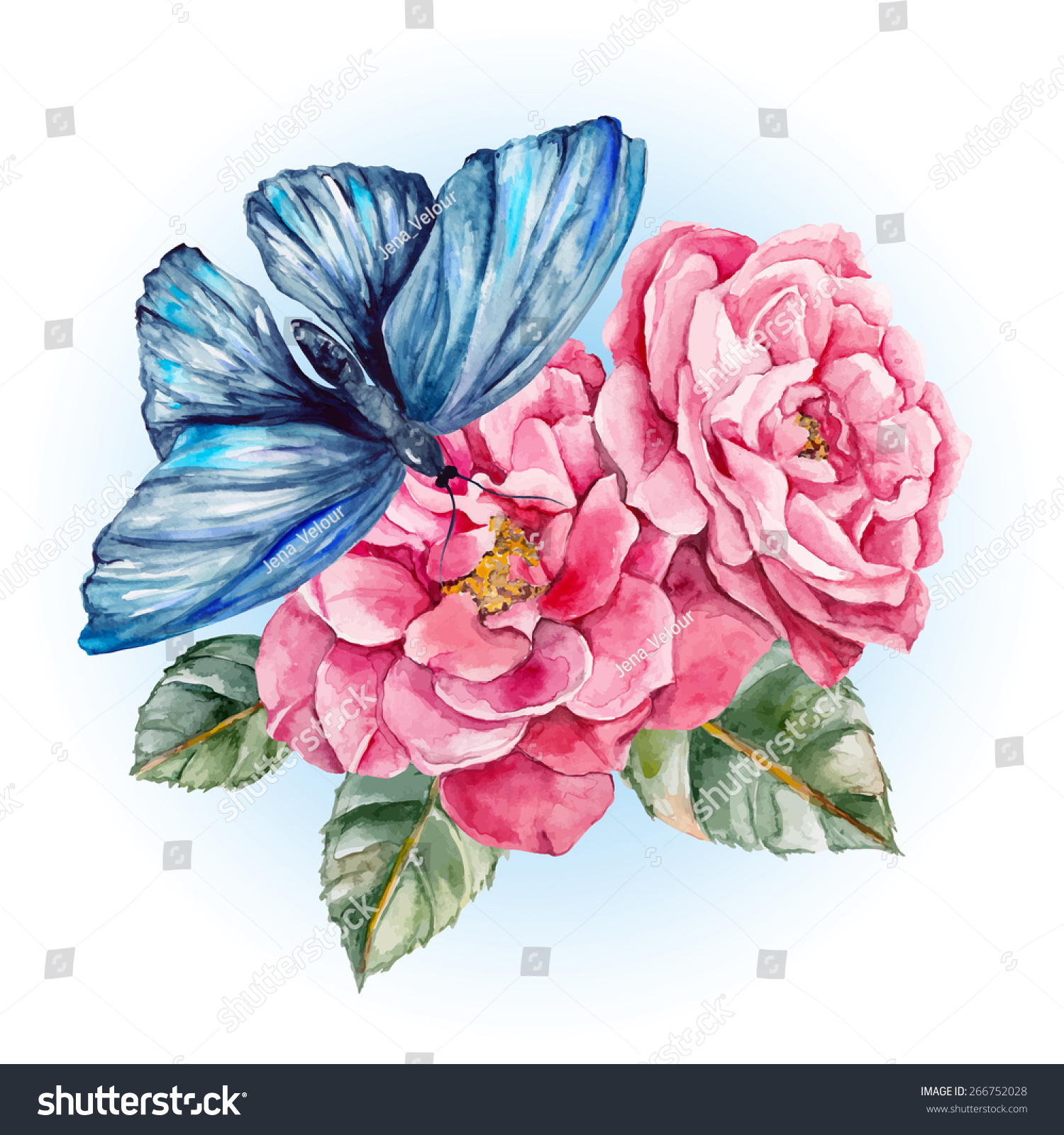 Download Blue Butterfly Wild Rose Watercolor Vector Stock Vector ...