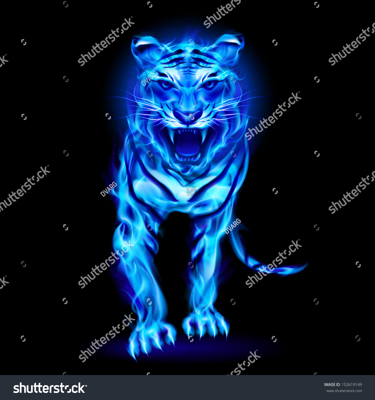 Blue Fire Tiger Isolated On Black Stock Vector 152619149 - Shutterstock