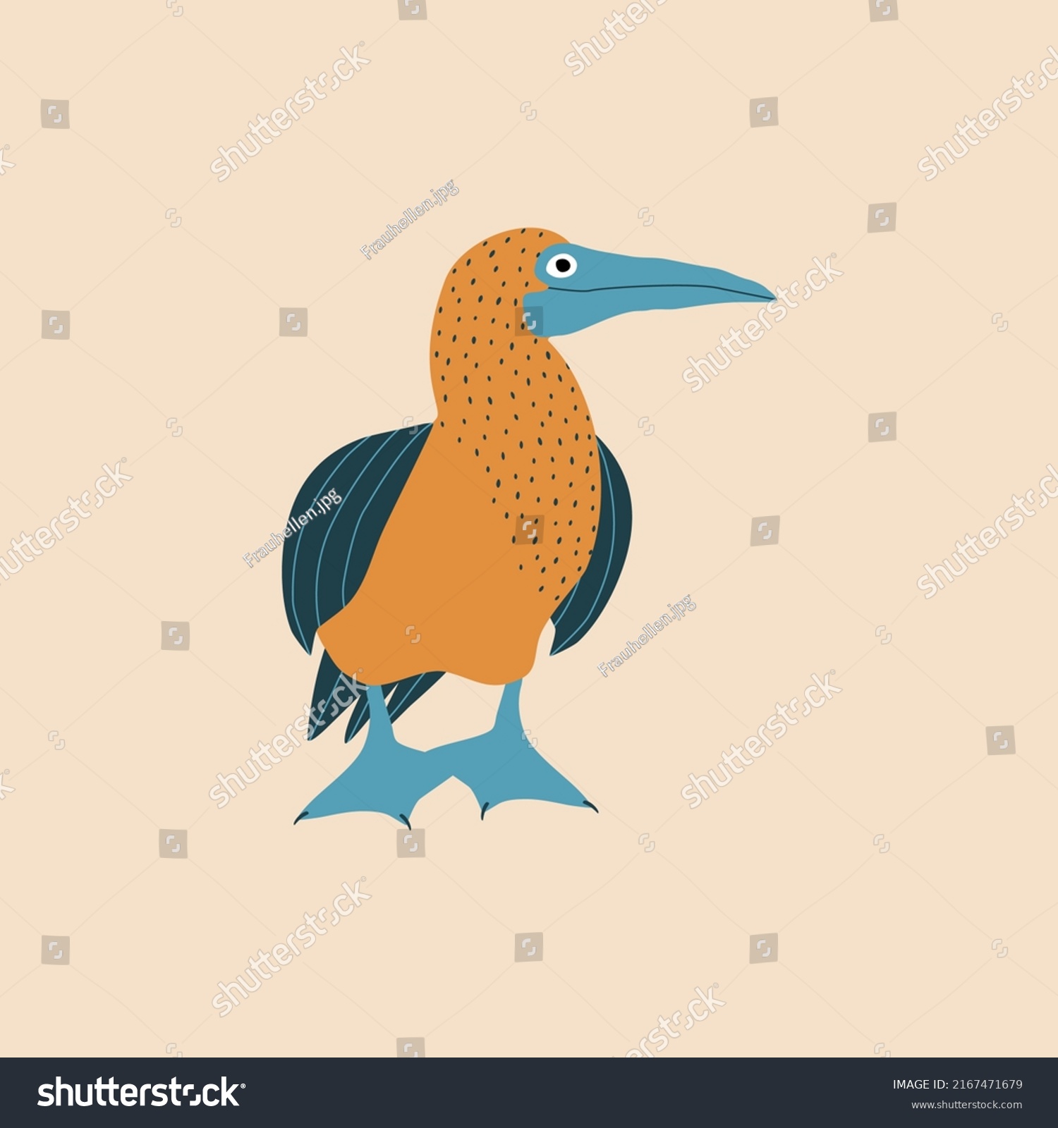 Bluefooted Booby Hand Drawn Vector Illustration Stock Vector Royalty Free 2167471679 1585