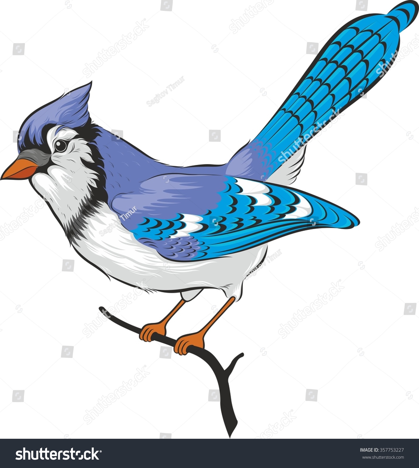 Blue Jay Bird Vector Isolated On Stock Vector 357753227 - Shutterstock